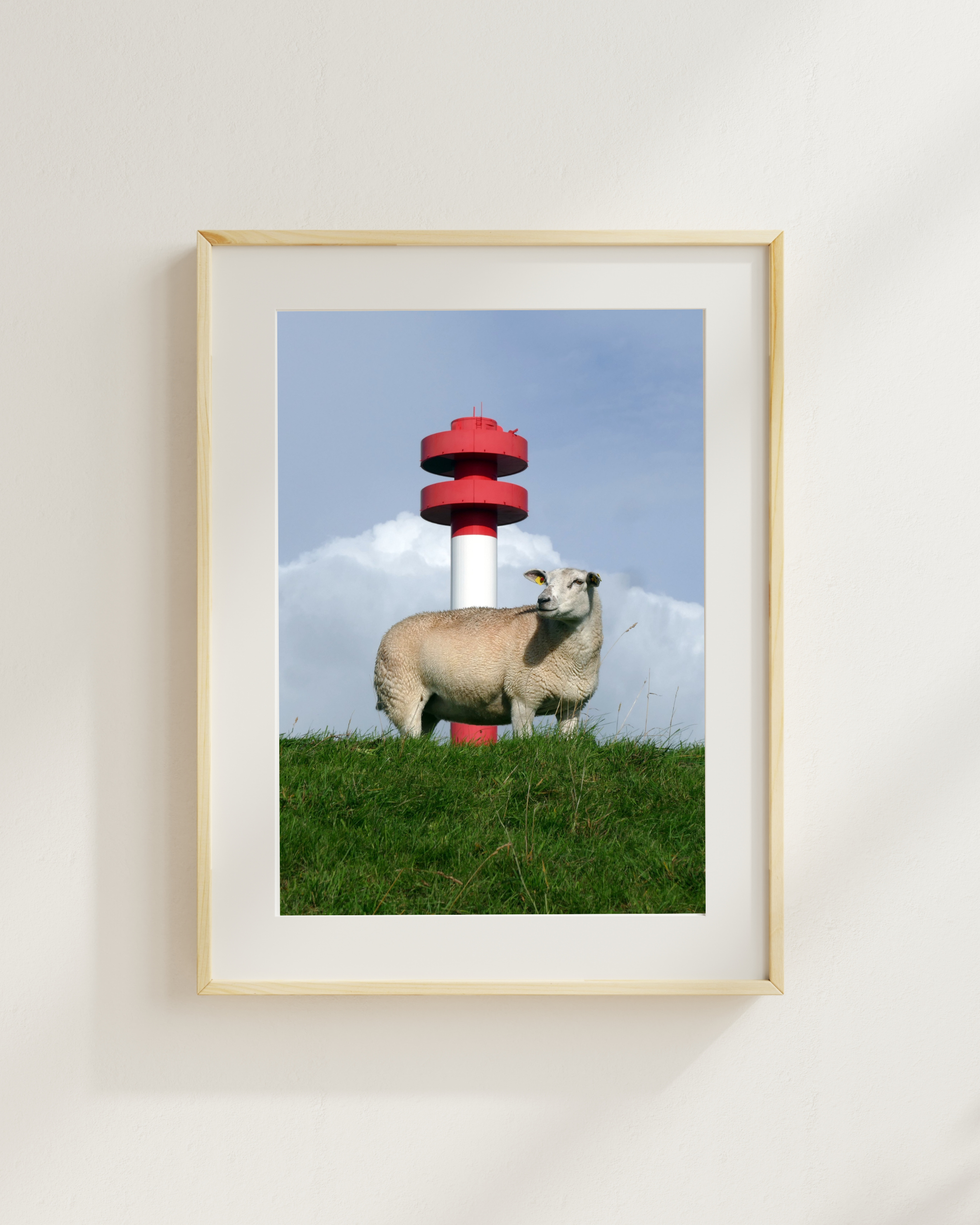 Schaf und Leuchtturm