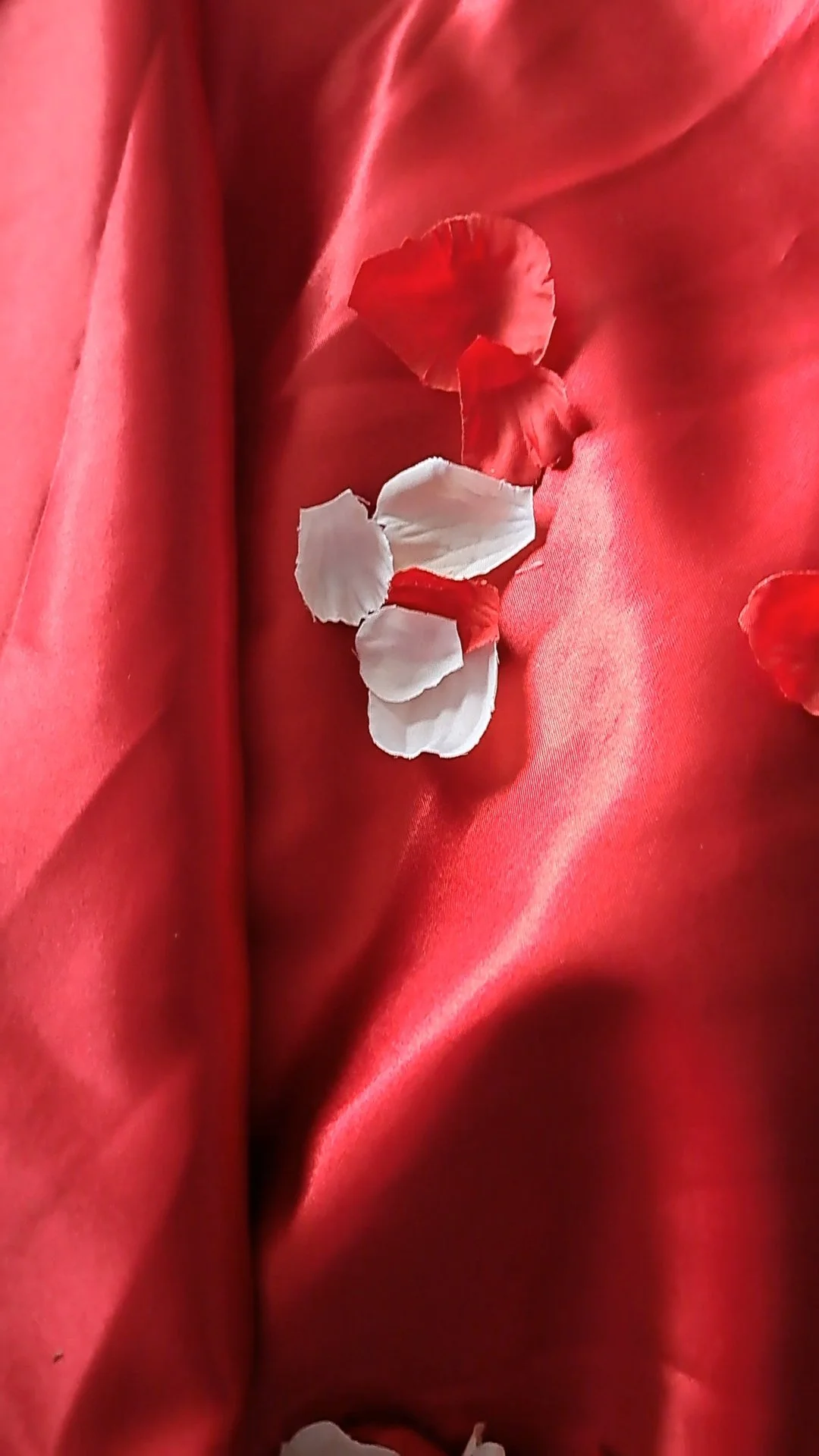 Programme: Histoires à dormir debout.