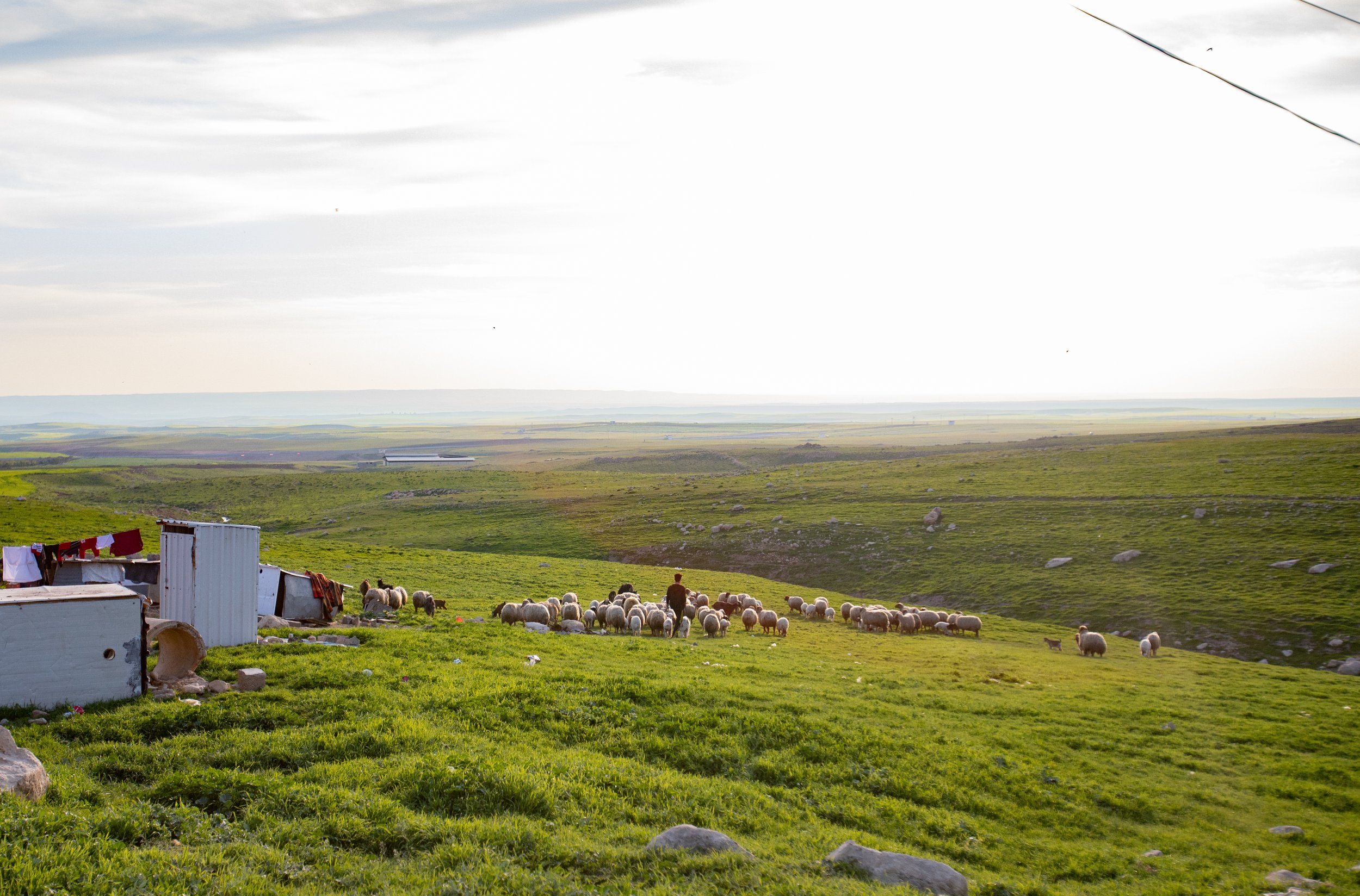 Many people think of Iraq as dry and barren, but in the spring some parts are positively lush.
