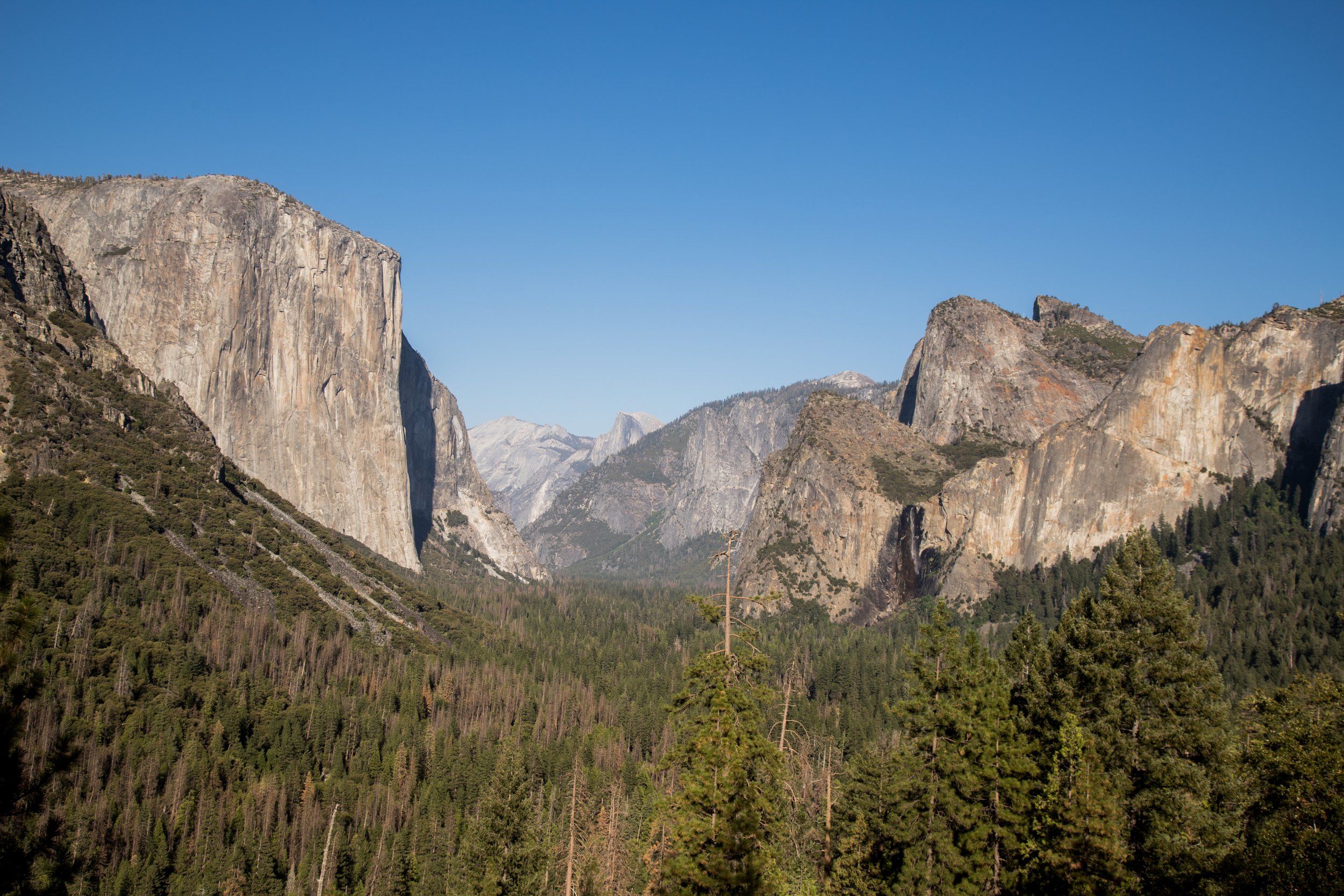 It's hard to describe just how big these cliffs are. I can't begin to communicate it; you just need to go here yourself. Yosemite definitely lives up to the hype.