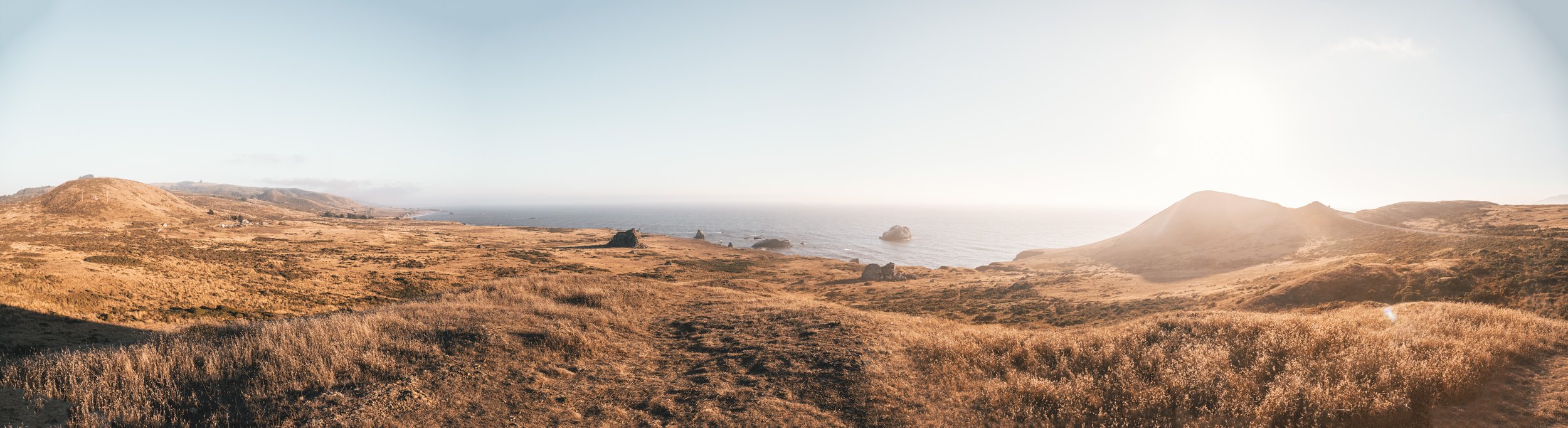 Miles and miles of wildness. We spent our days in a cabin in a redwoods forest, only a few minutes from this incredible coastline.