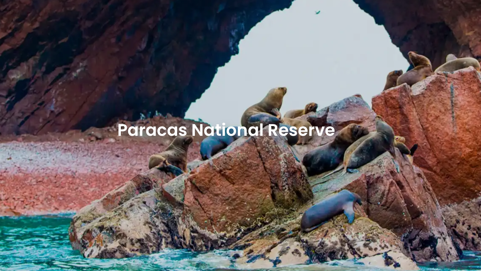 Paracas-national-preserve-lima-peru-newburgh-yoga-shala-nina-rao-bibi-lorenzetti