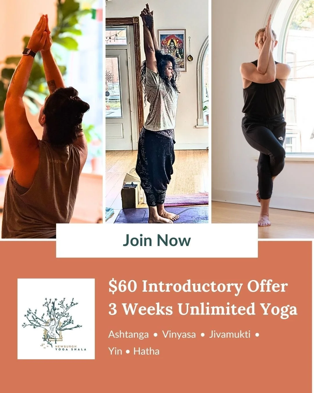 NEW STUDENT SPECIAL $60 
THREE WEEKS OF UNLIMITED YOGA
WHO WE ARE
Where tradition meets dedicated instruction. Join us to experience genuine, time-honored yoga teachings that nurture body, mind, and spirit. Elevate your practice with us today.
WHAT