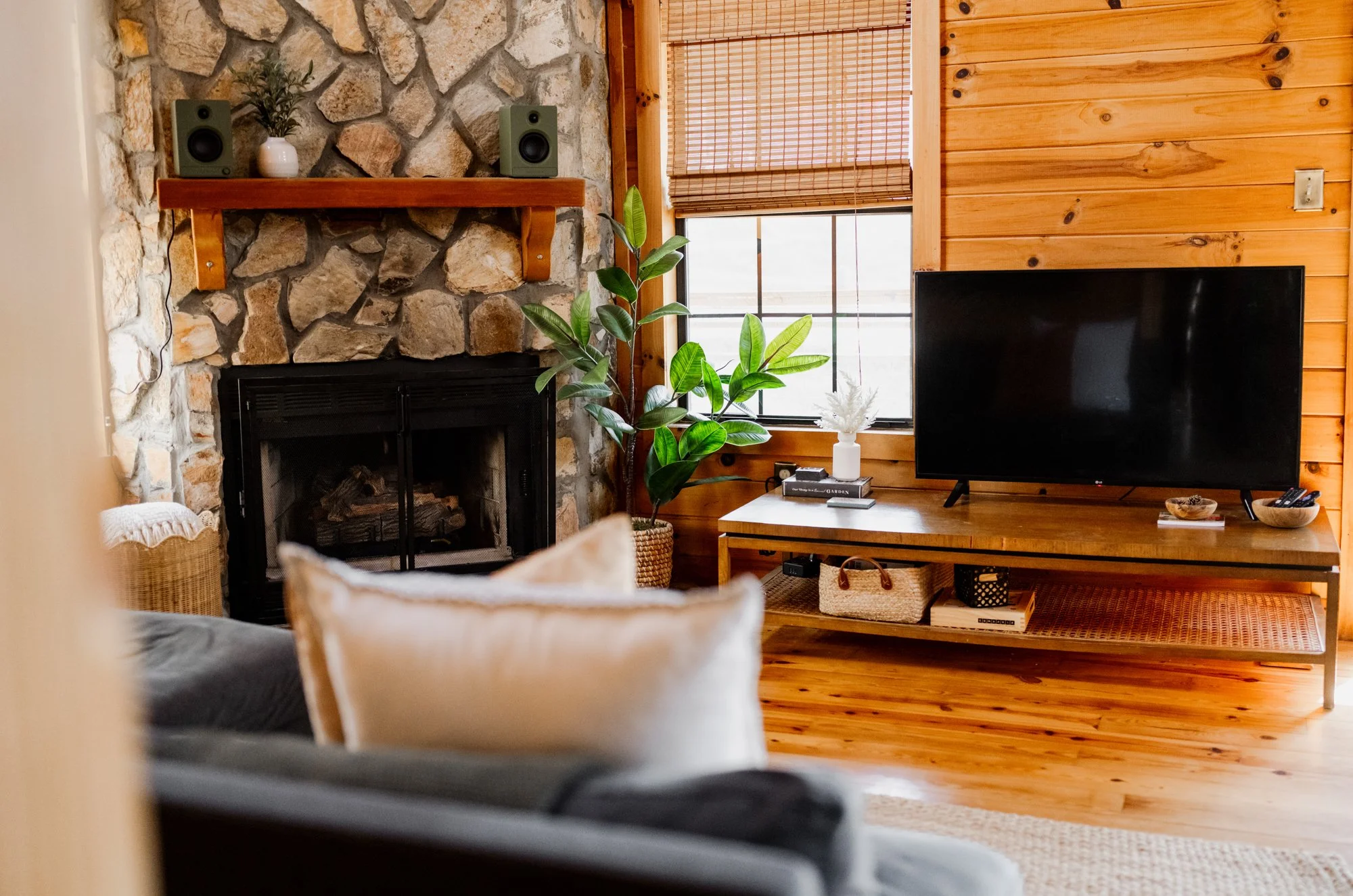 The Ellijay Olive Welcome