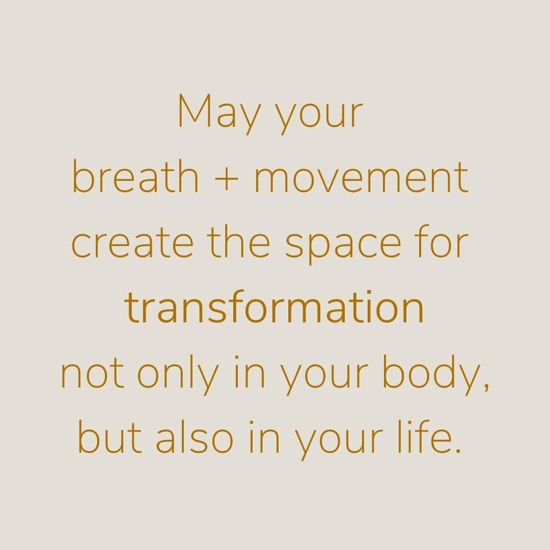 Transform your practice, transform your life. 

One breath + one movement at a time. 

Book your next class now (link in bio for schedule)