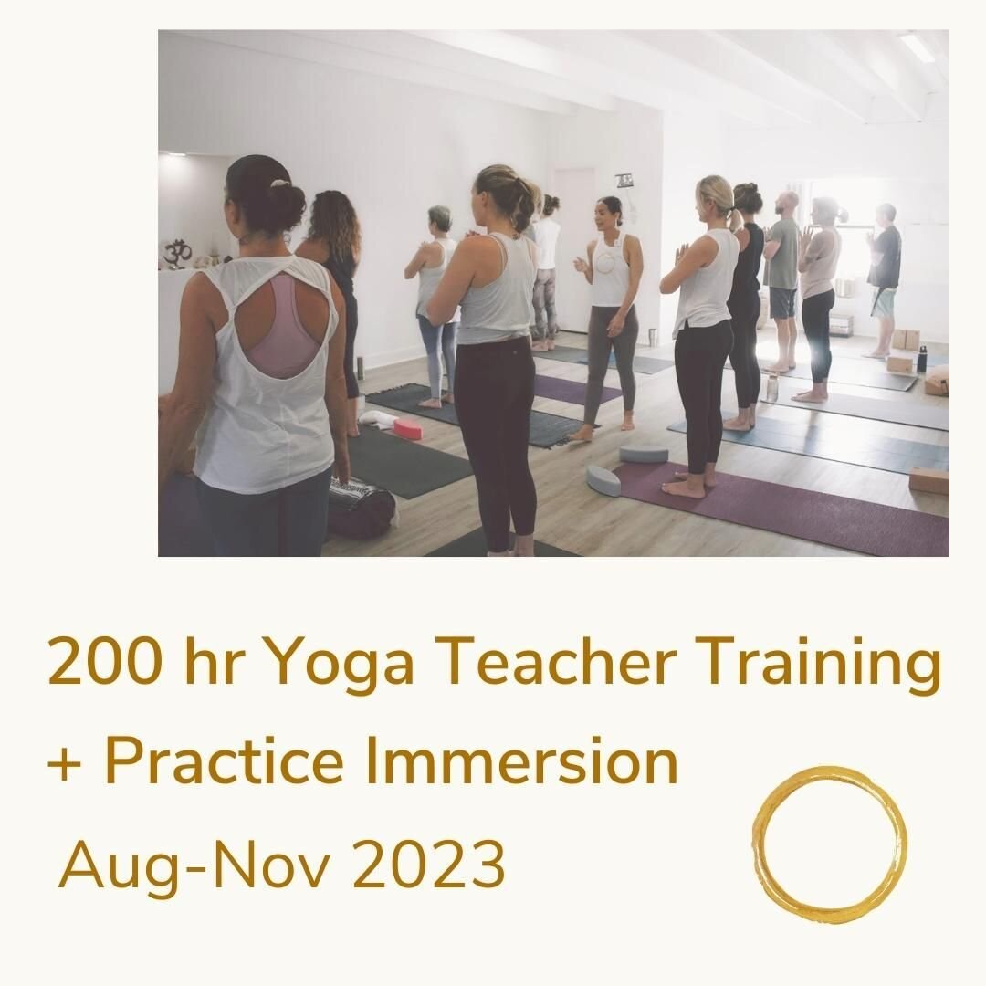 This fall&mdash;immerse yourself in the practice of self-transformation.

Curious about deepening your understanding of yoga? 

Want to learn why these ancient tools have been shared for thousands of years?

Join us Aug 12-Nov 13 for a three month ex