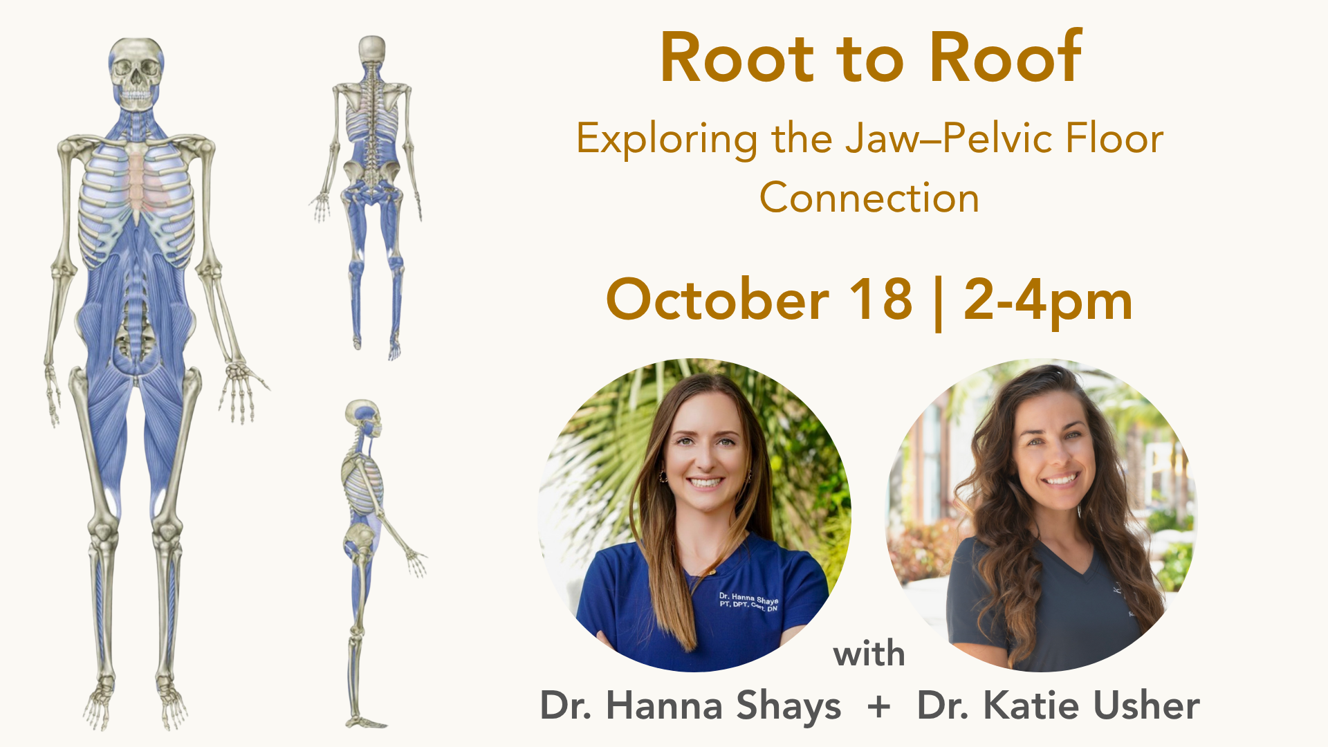 Root to Rise: Exploring the Jaw–Pelvic Floor Connection
