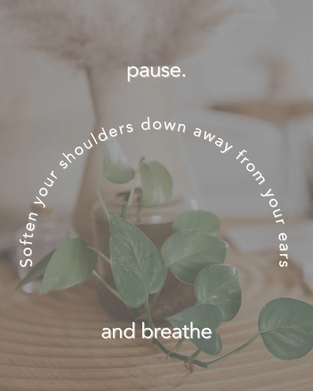 Pause. Drop your shoulders. Give yourself a moment to breathe deeply.