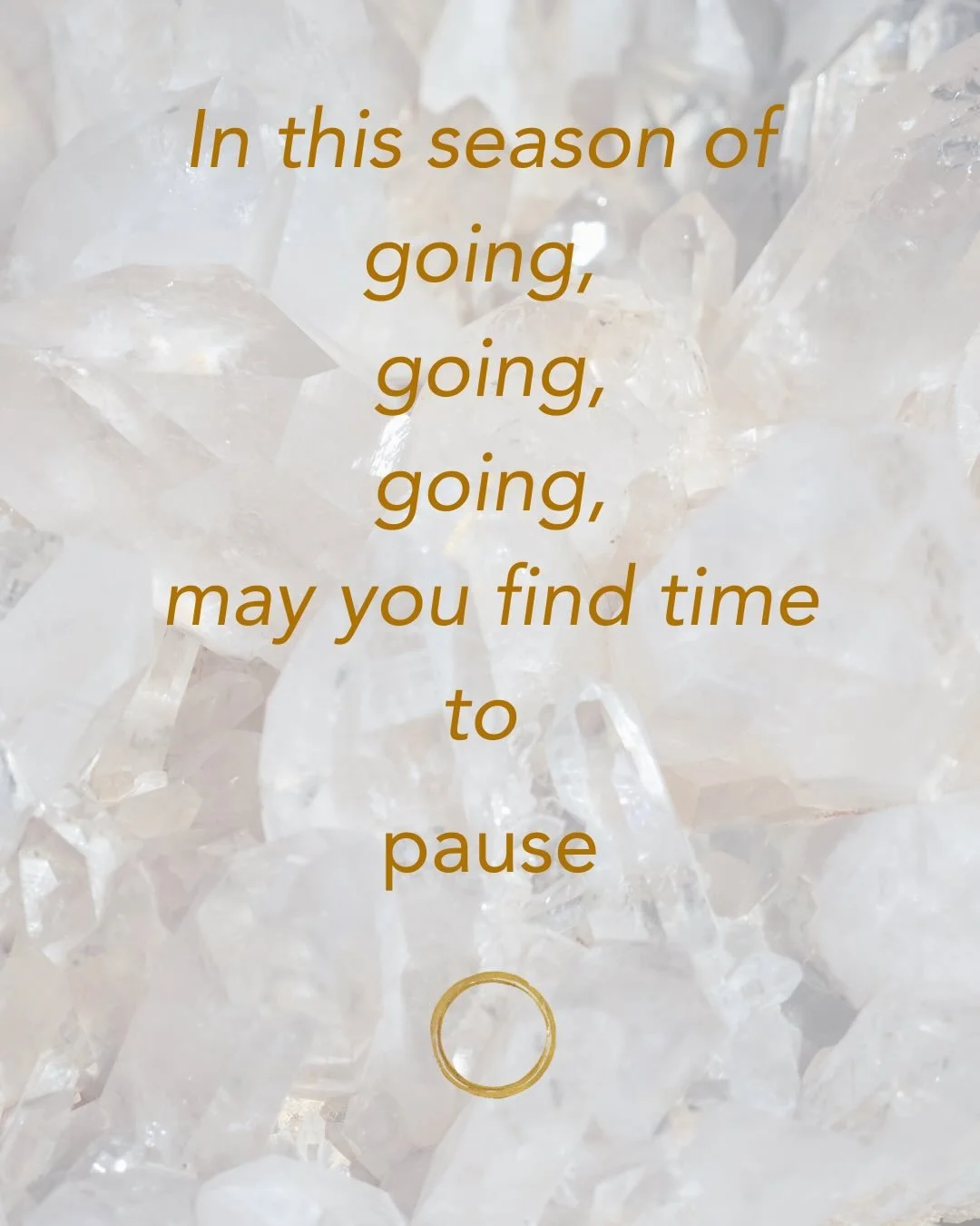 Come practice + receive this holiday season✨

Swipe for the holiday schedules