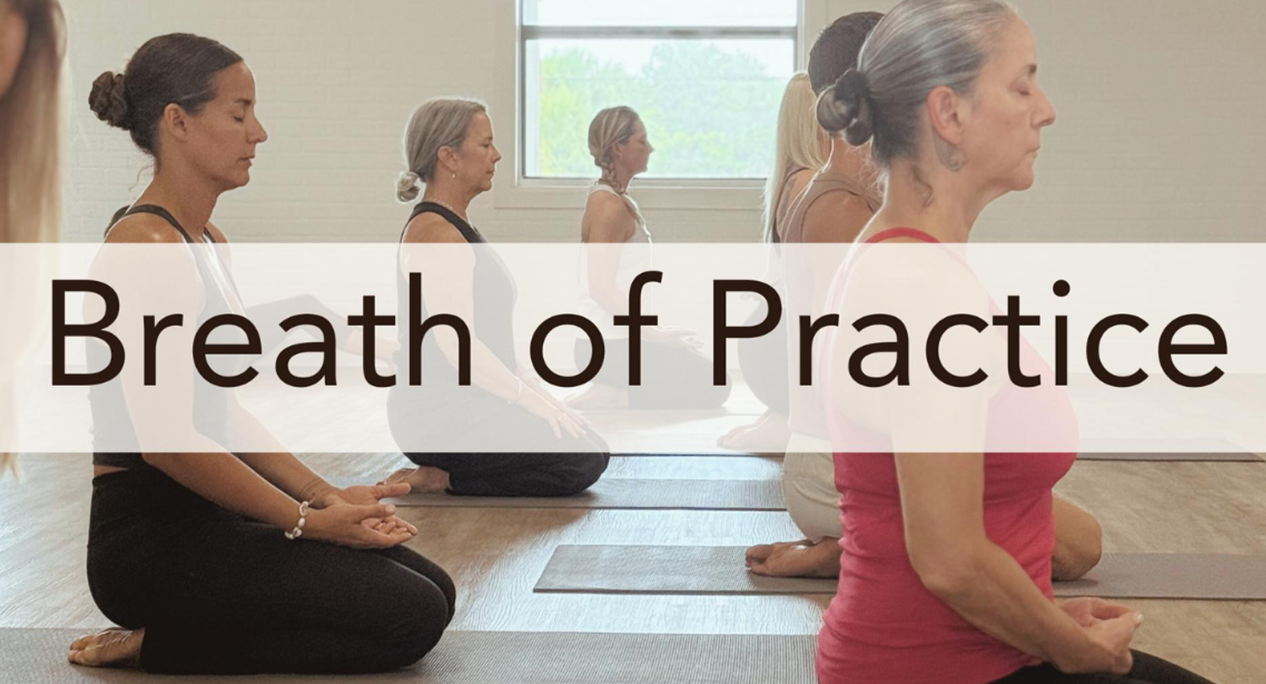 Breath of Practice | Pranayama • Subtle Body • Meditation • Trauma-Informed Training for Teachers