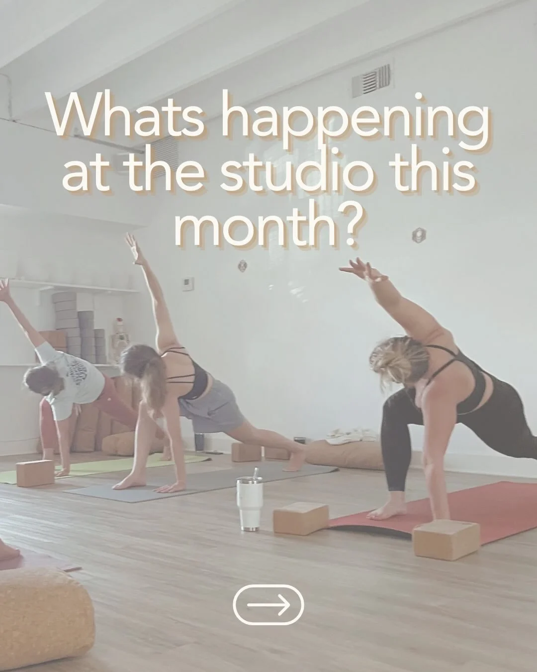 Swipe to explore all the events happening this month!🤩