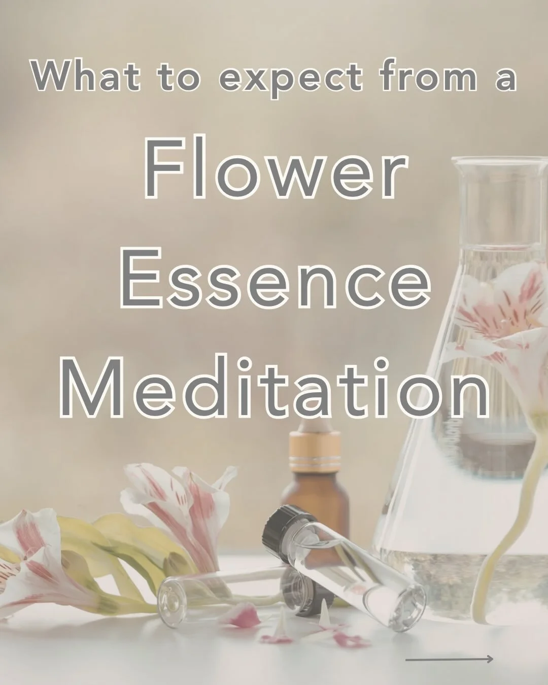 Join Gina for 90 minutes of guided meditation, crystal singing bowls, and quiet inner listening.✨🌸

Each gathering focuses on one flower essence at a time, allowing the flower itself to become the teacher.
 
This evening is an invitation to slow dow