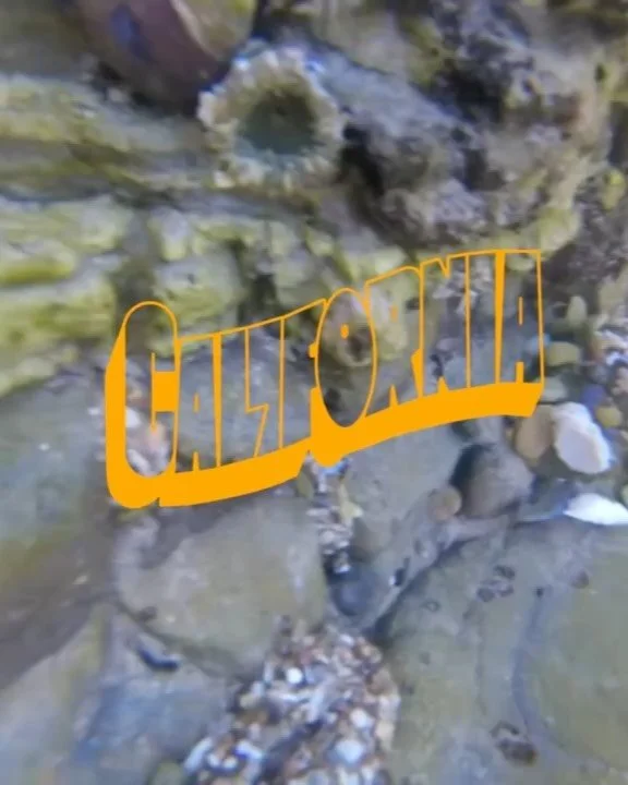 wild, wild west coast, these are the girls I love the most