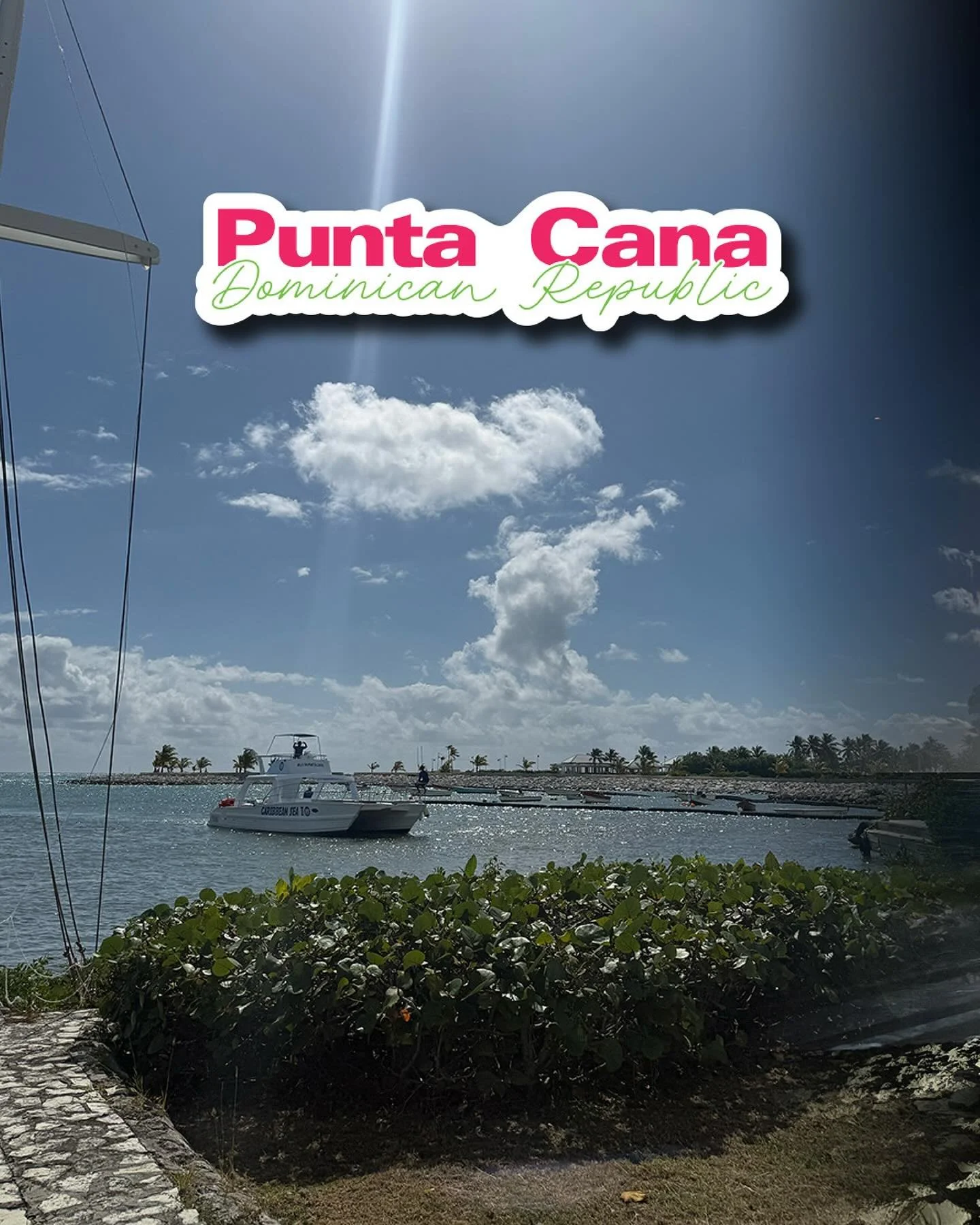 horizons🇩🇴🐄