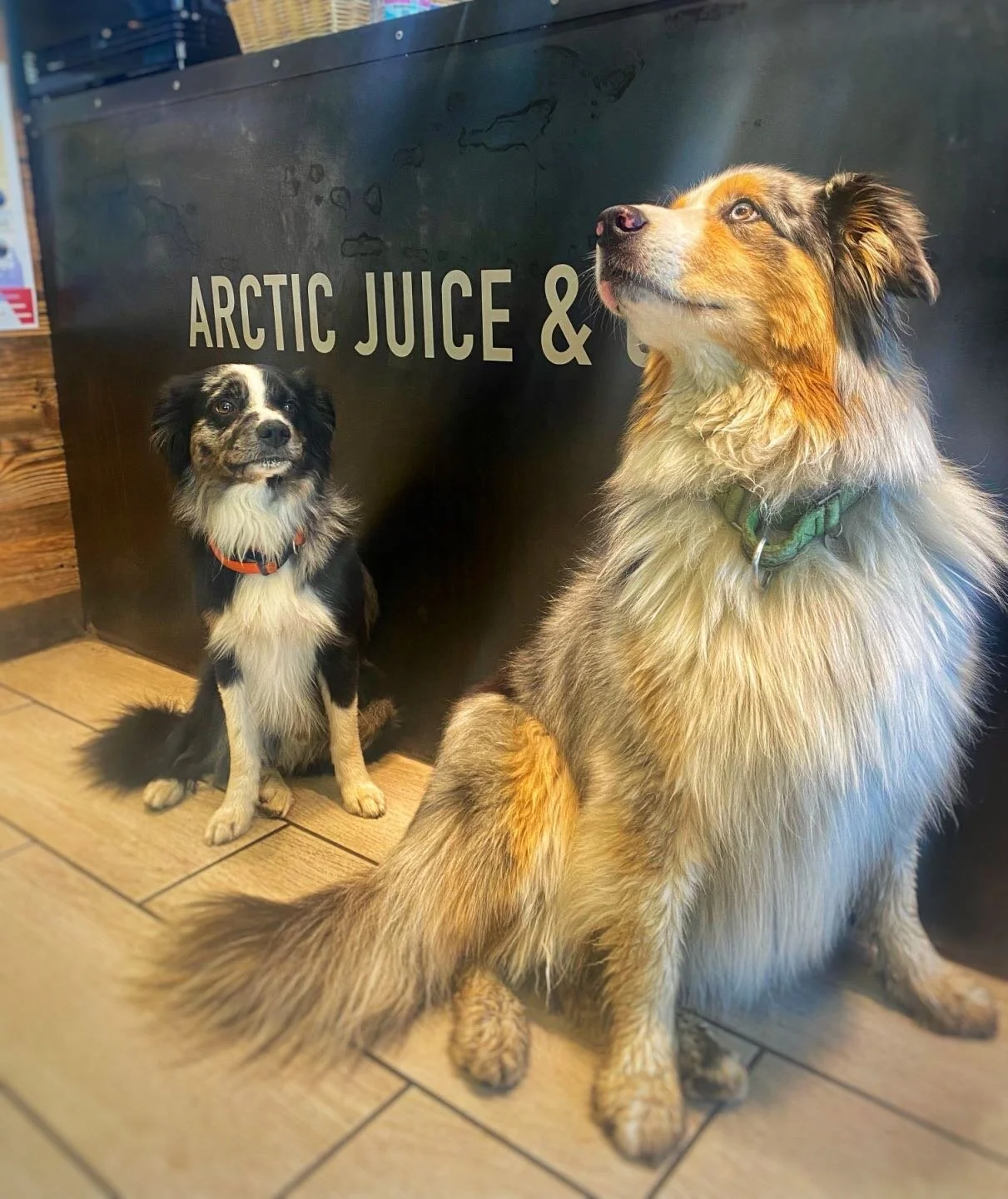 Arctic Juice & Cafe — General 6