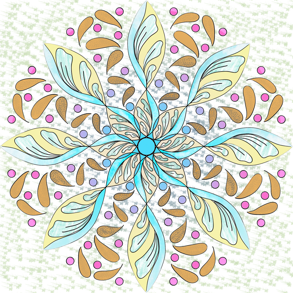 IMG_0764.PNG