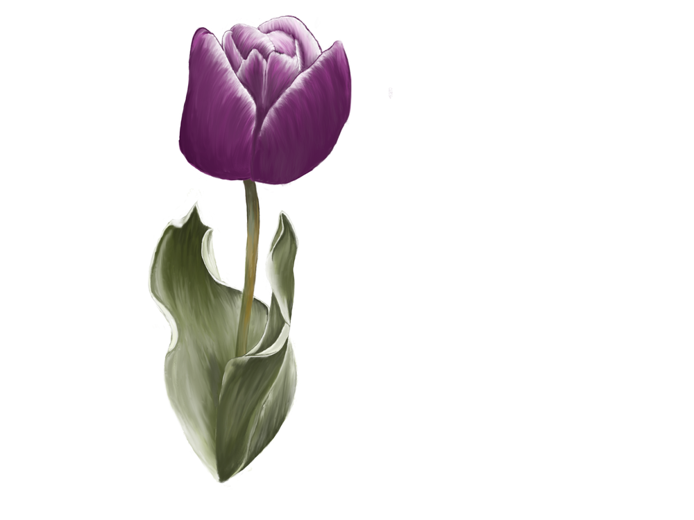 IMG_0777.PNG
