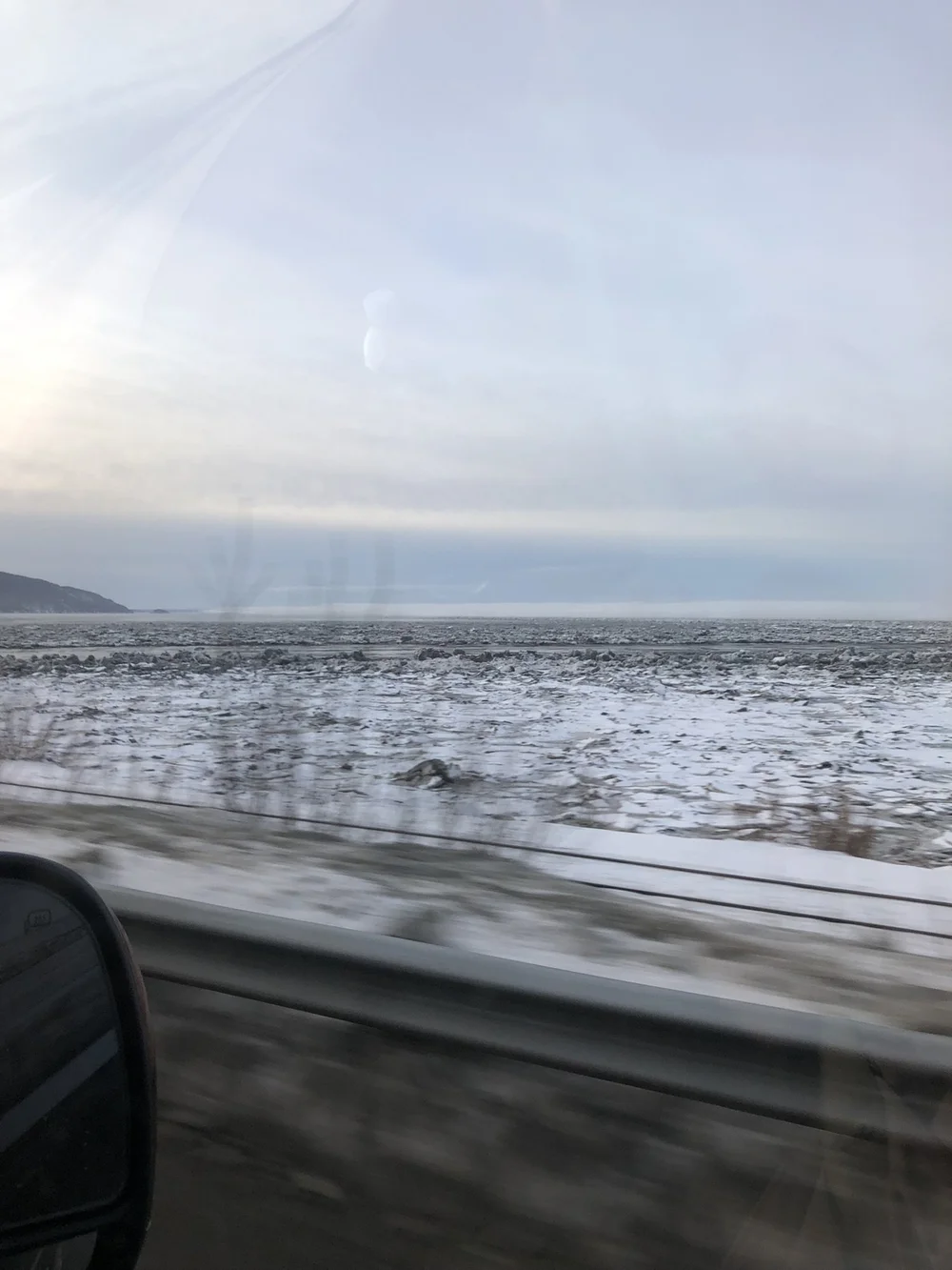 IMG_3942.jpeg