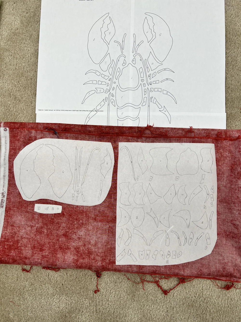 3. Stabilizer to Fabric - Lobster.JPEG