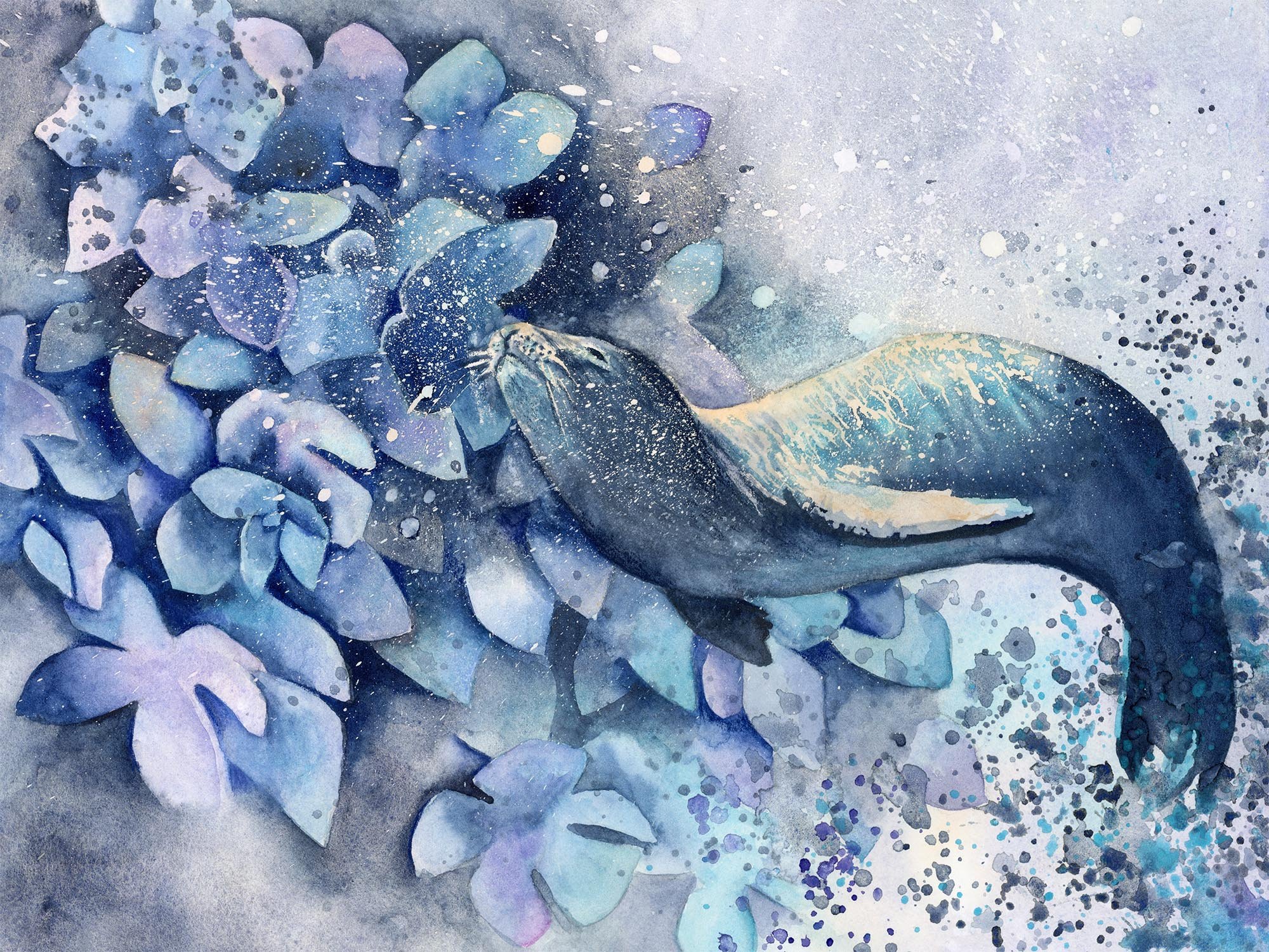 Seal Flowers 2023 thumbnail.jpg