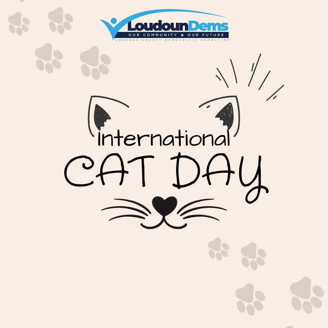 🐾 𝗜𝘁&rsquo;𝘀 𝗜𝗻𝘁𝗲𝗿𝗻𝗮𝘁𝗶𝗼𝗻𝗮𝗹 𝗖𝗮𝘁 𝗗𝗮𝘆 &mdash; and we&rsquo;re paws-itively certain your cat would definitely vote blue (if they could). 😸

Drop a pic of your feline friend below and show us who&rsquo;s running the real campaign i