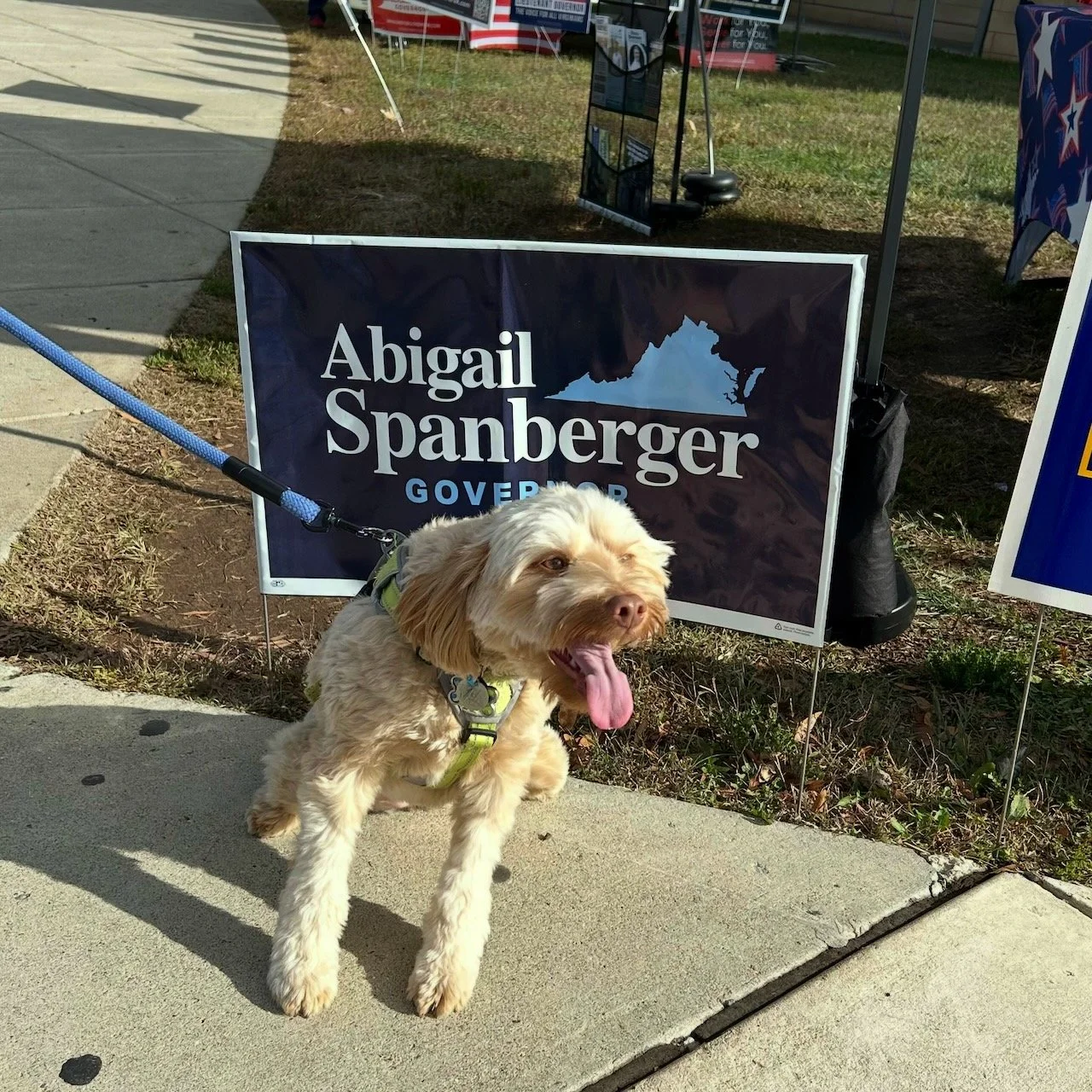 🐾 This is Abigail, the very goodest girl who came to early voting with her humans today to support Abigail Spanberger!

Early voting is open until 7 p.m. tonight, then Friday from 10 a.m. to 5 p.m., and Saturday from 9 am. to 5 p.m. Be like Abigail'