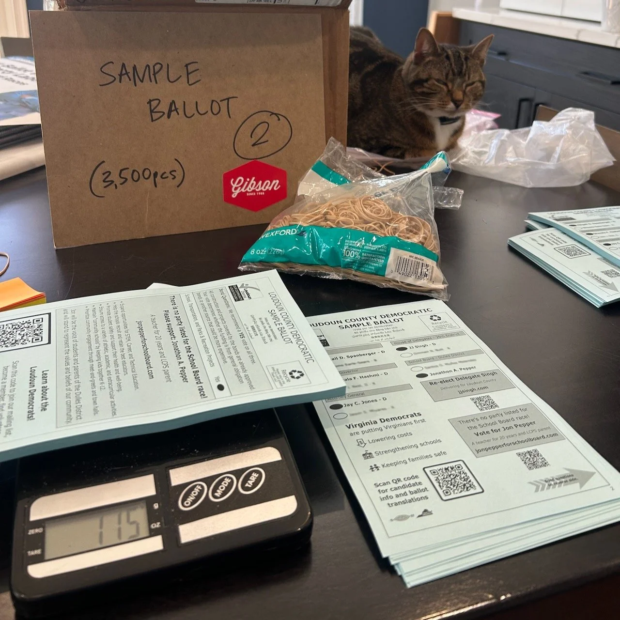 It's Election Eve Eve, and our amazing volunteers all across the county are busy organizing all the equipment needed for the big day. Thanks to another fine union partner, @gibsonprint for doing our sample ballots for us! 

P.S., the cat wasn't parti