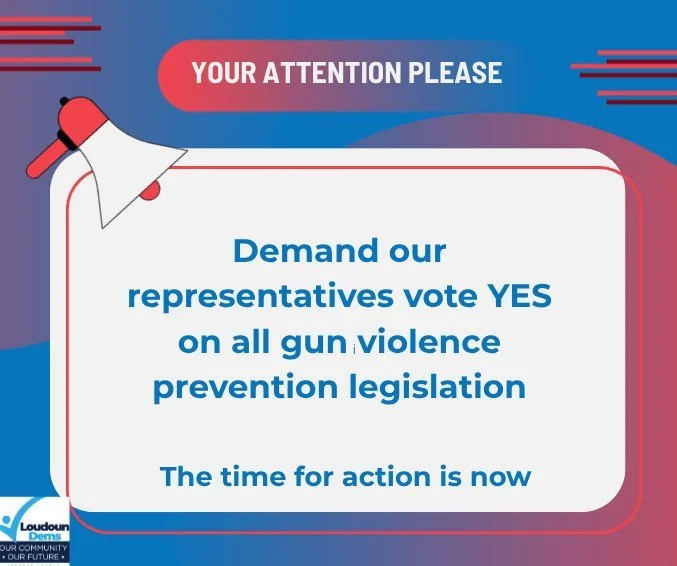 Our "Blue Wave" gives us a historic chance to pass common-sense gun safety laws, but the NRA and VCDL are fighting back. But when our community's safety is at stake, we fight harder. Demand your representatives vote YES on all gun violence 