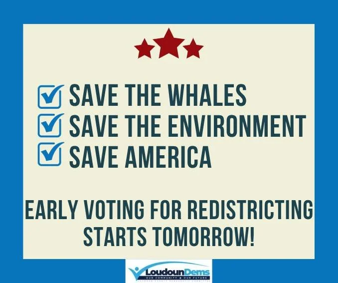 Why are we redistricting? Virginia&rsquo;s redistricting is our best line of defense for our democratic values when states such as Texas openly and blatantly redistrict in favor of Republicans. This amendment allows us to meet this unique moment with