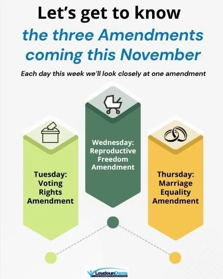 When we head to the polls on November 3, 2026, we aren&rsquo;t just voting for candidates&mdash;we are making critical decisions that will permanently shape the Virginia State Constitution. There are three major constitutional amendments on the ballo