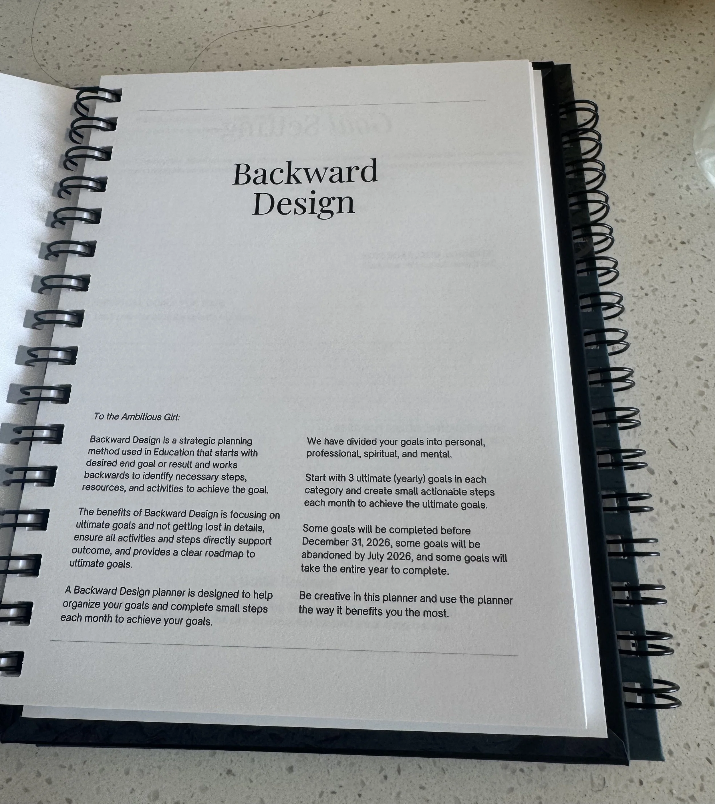 ambitious girl 2.jpg