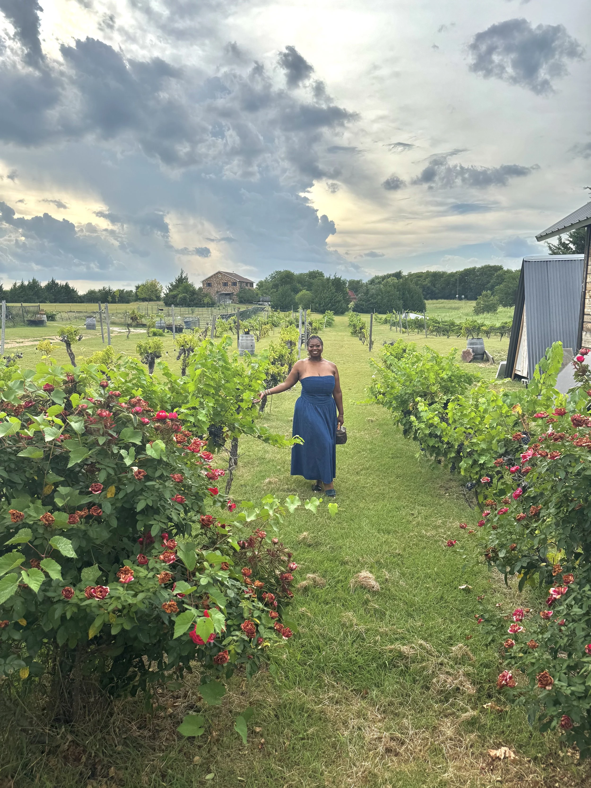 Visit these Wineries in Dallas