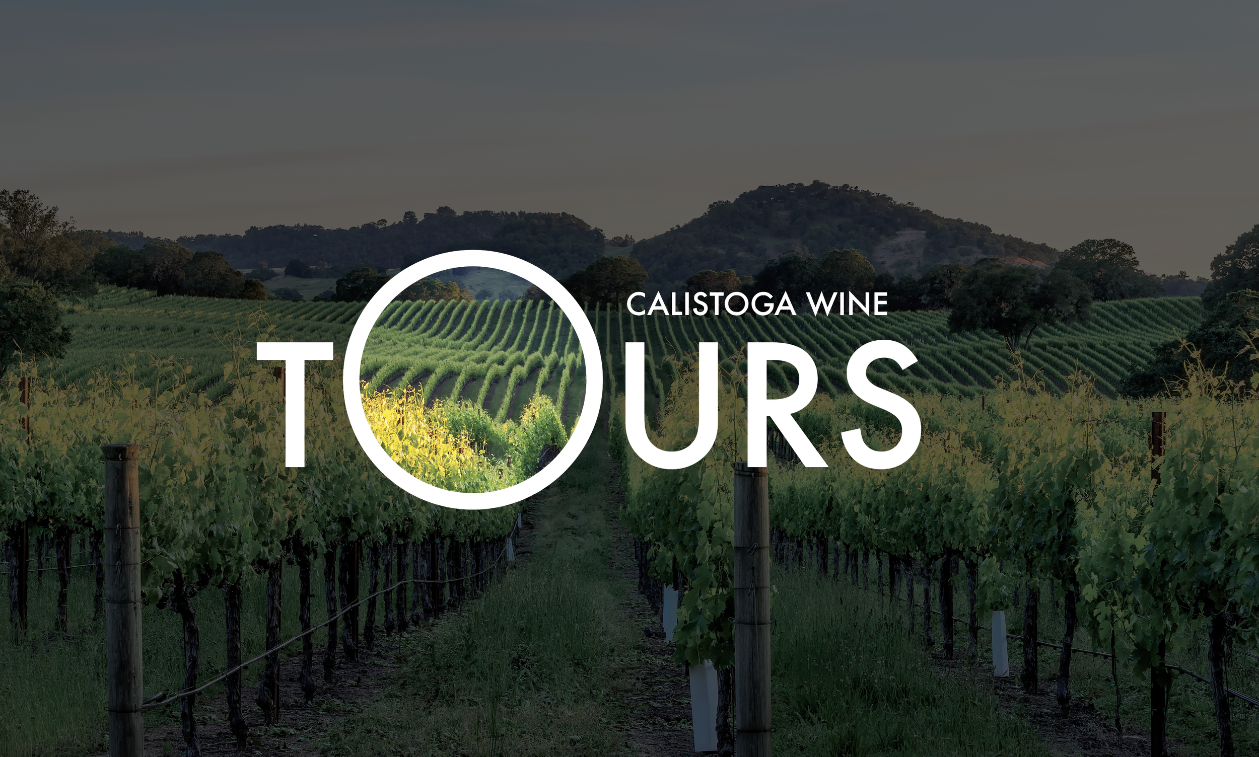 Calistoga Wine Tours Branding