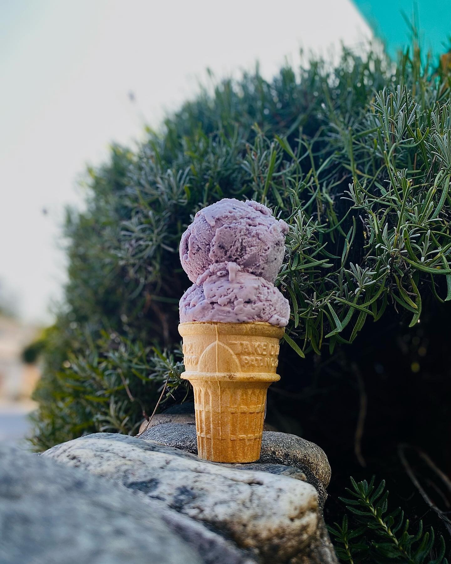 The final scoops of summer are here - but never fear, we&rsquo;re still open so you can get your ice cream fix! Our new hours starting September 11th will be:

Sunday-Thursday: 12-6. 
Friday &amp; Saturday: 12-8. 

Starting September 26, we will be c