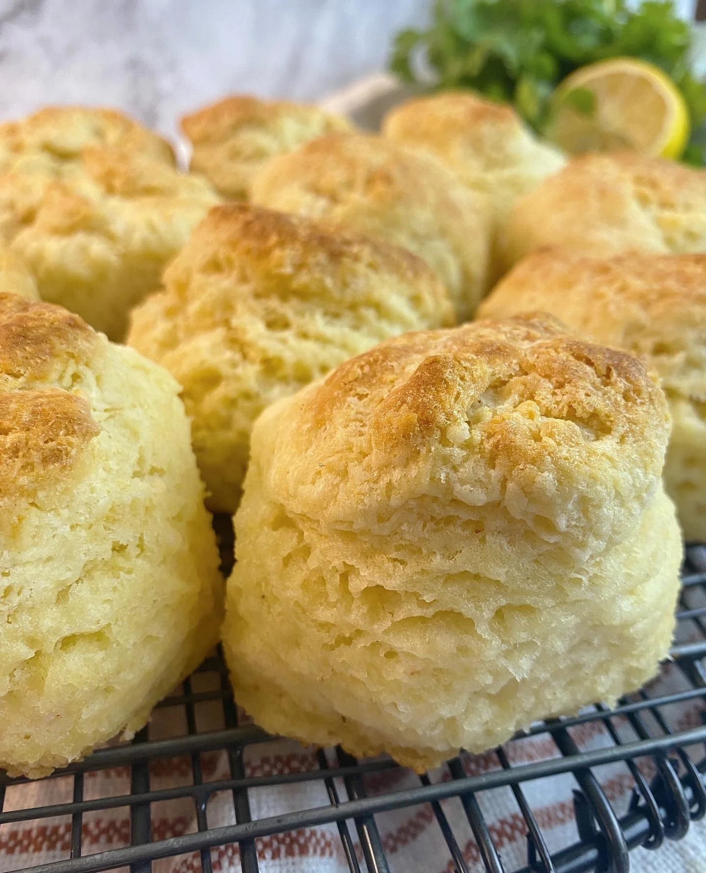 MILE HIGH BUTTERMILK BISCUITS 