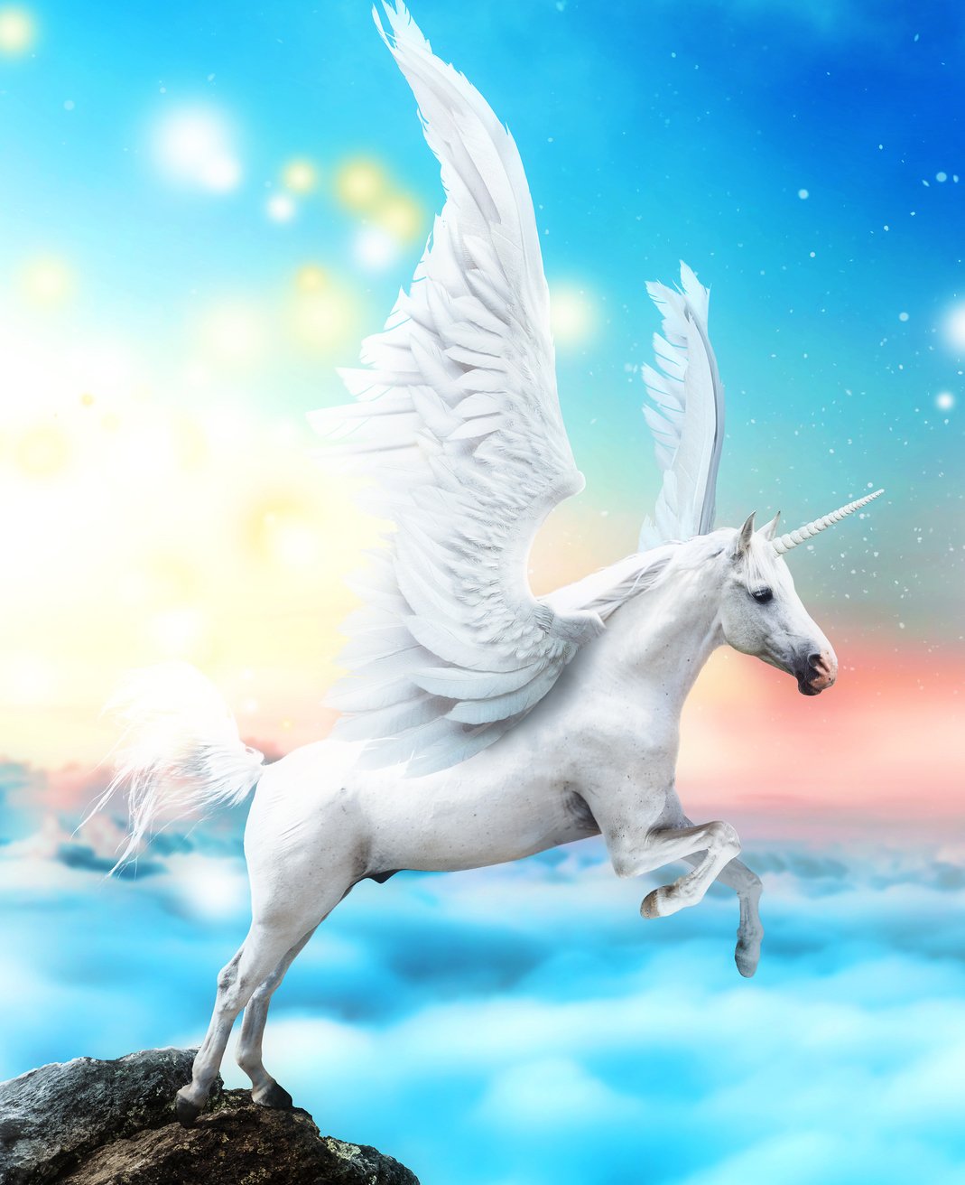 magical unicorns crop 2.jpeg