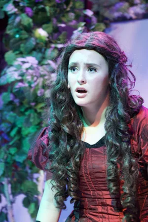 Synopsis — Heartless the Musical