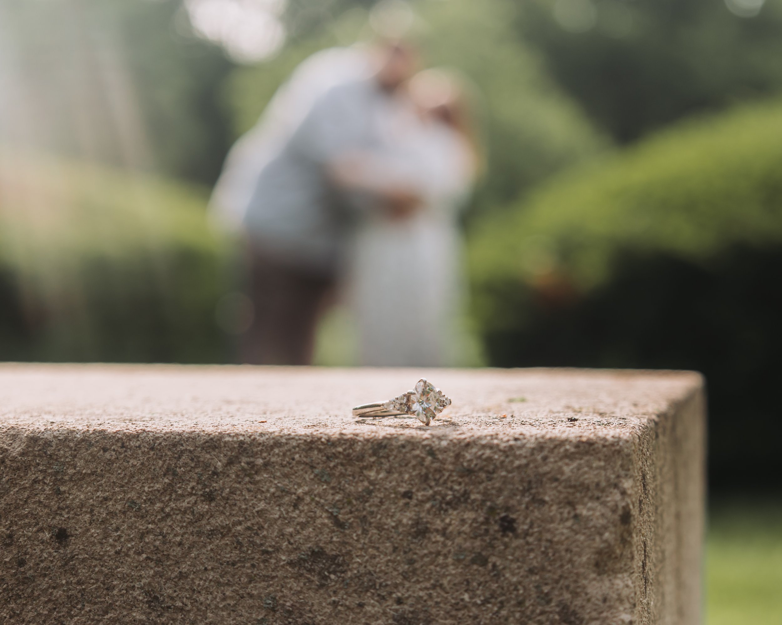 6W4A3403.JPG