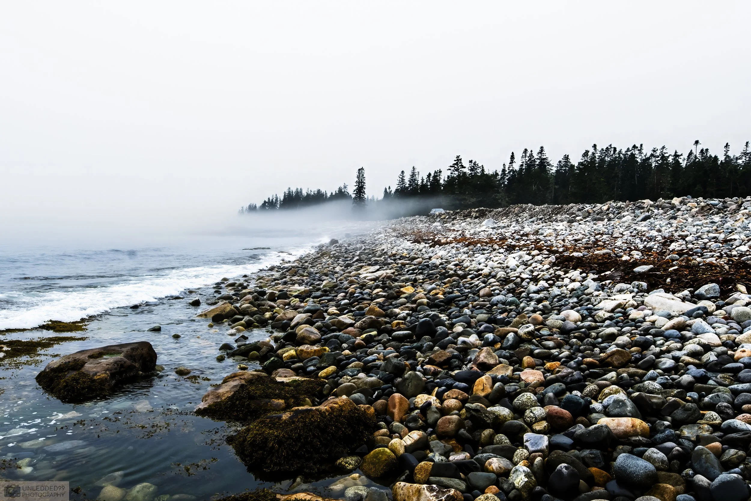 Misty Morning