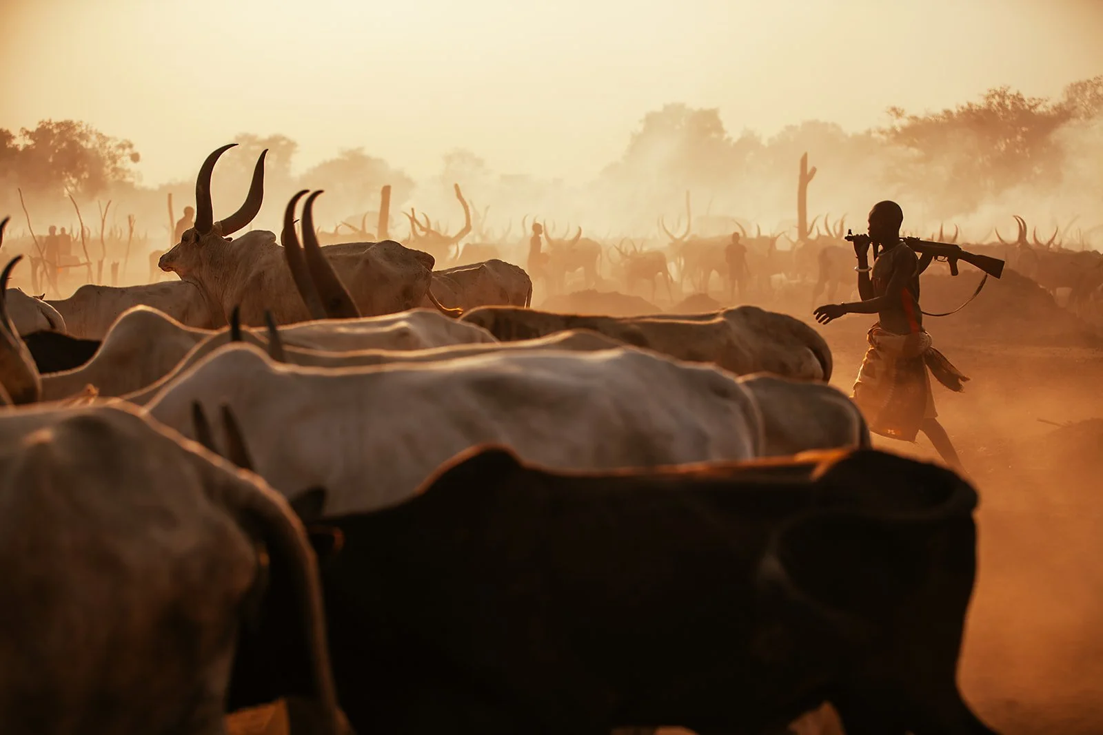cattle_camp-17.jpg