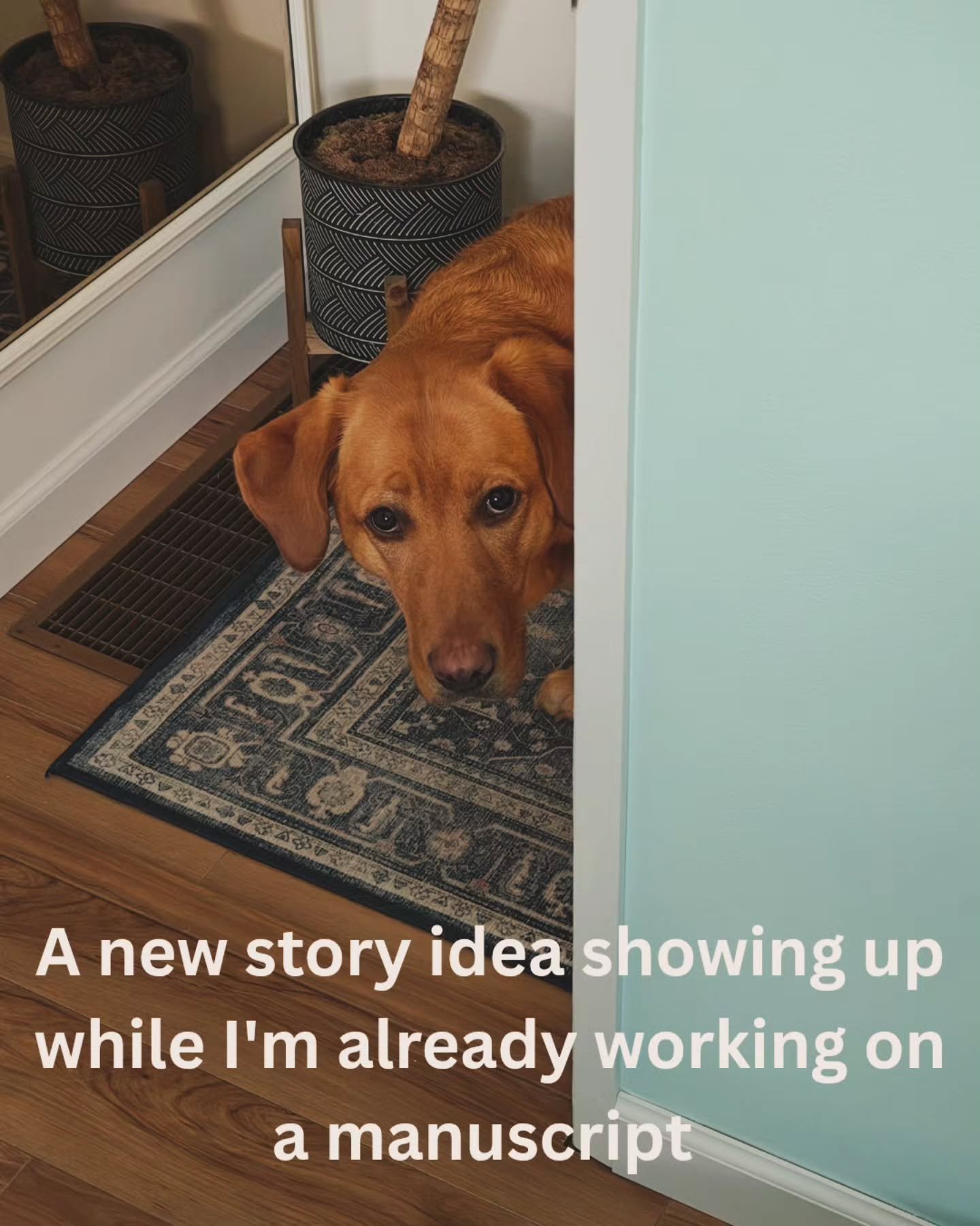 I'm actually working through structural edits on TWO manuscripts and I keep getting distracted by new story ideas. Probably because my brain hates the editing process but my brain needs to chill out.