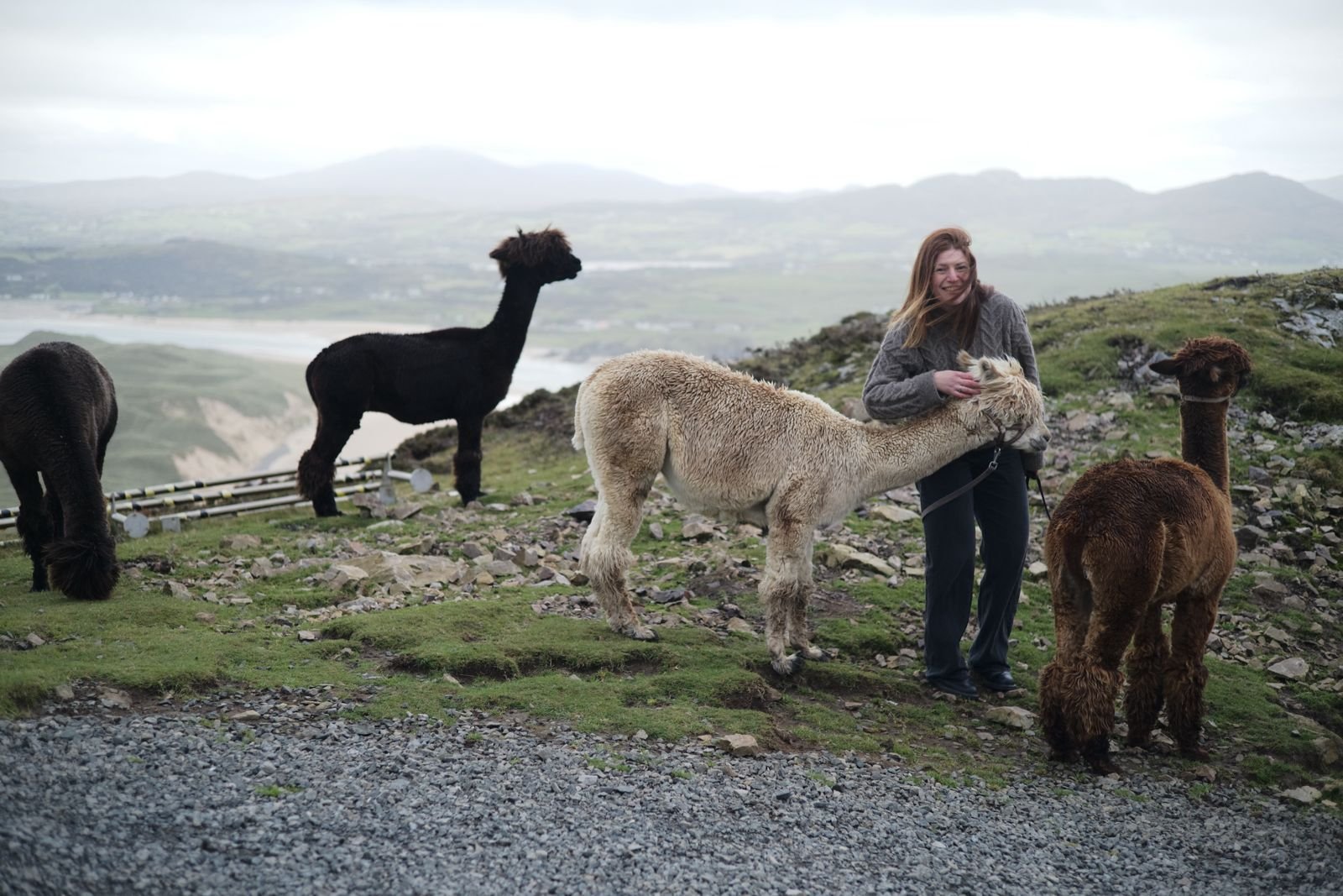 What to Wear Whilst a-Frolic in a Wild Alpaca Dreamscape?