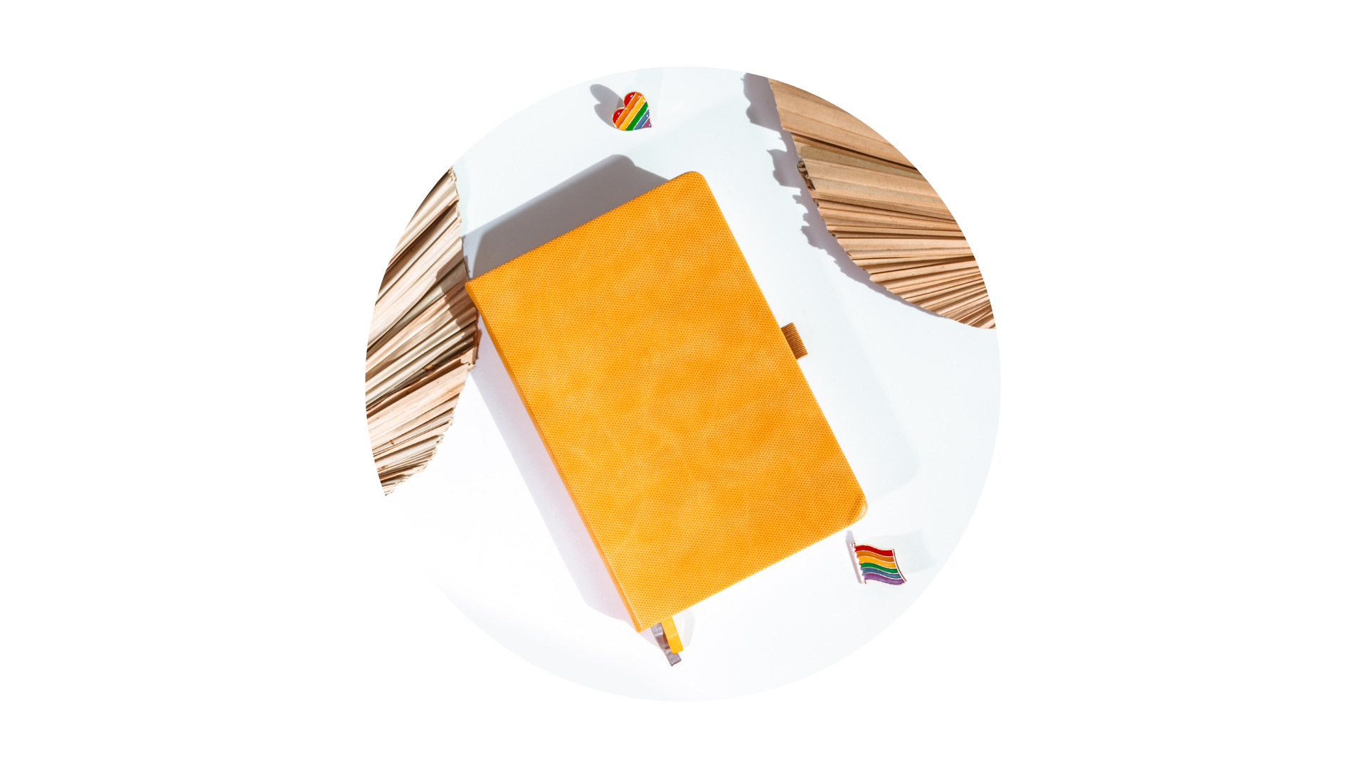 34. Leer la libreta de notas y el BUJO