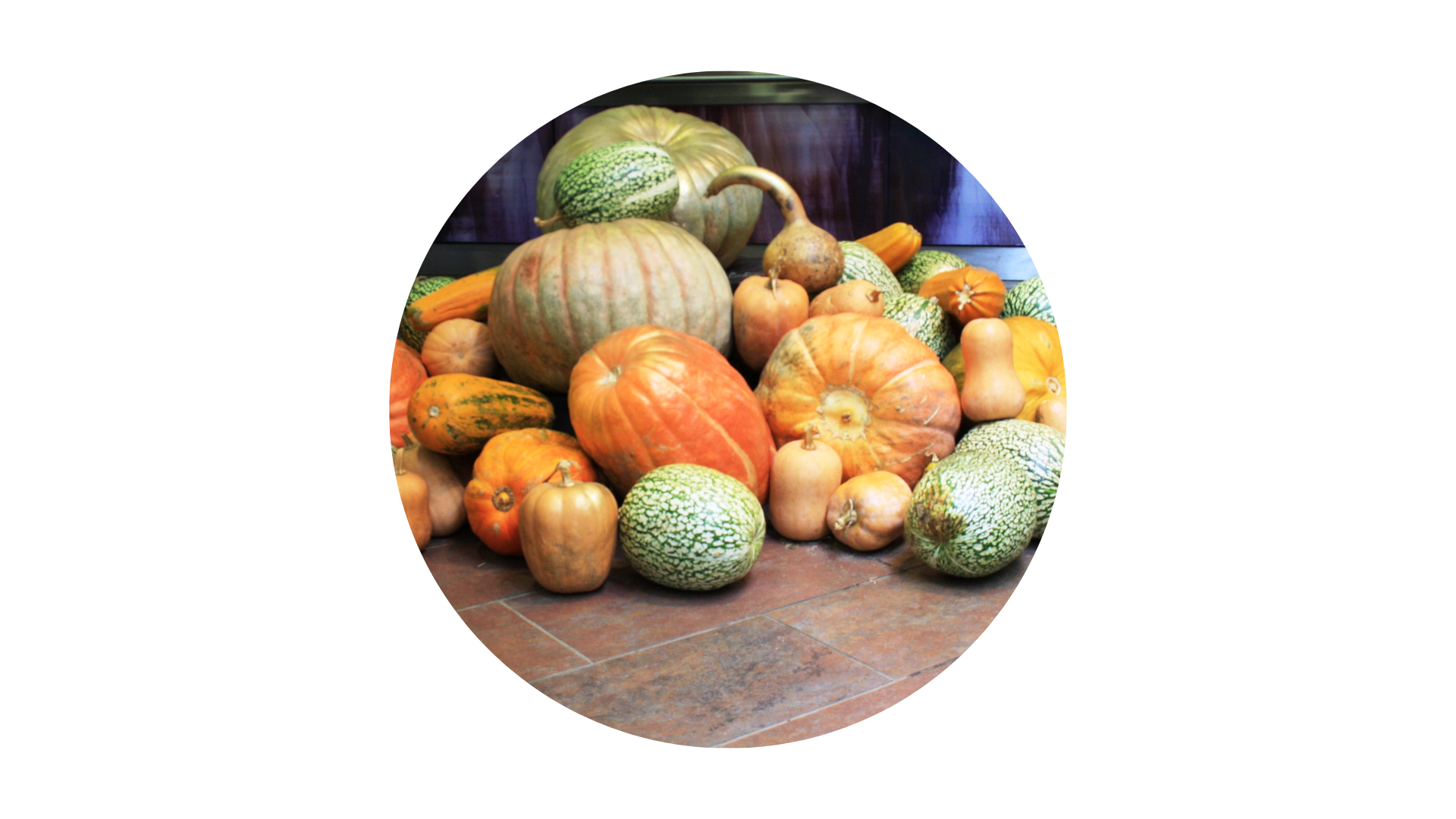 40. Leer las calabazas