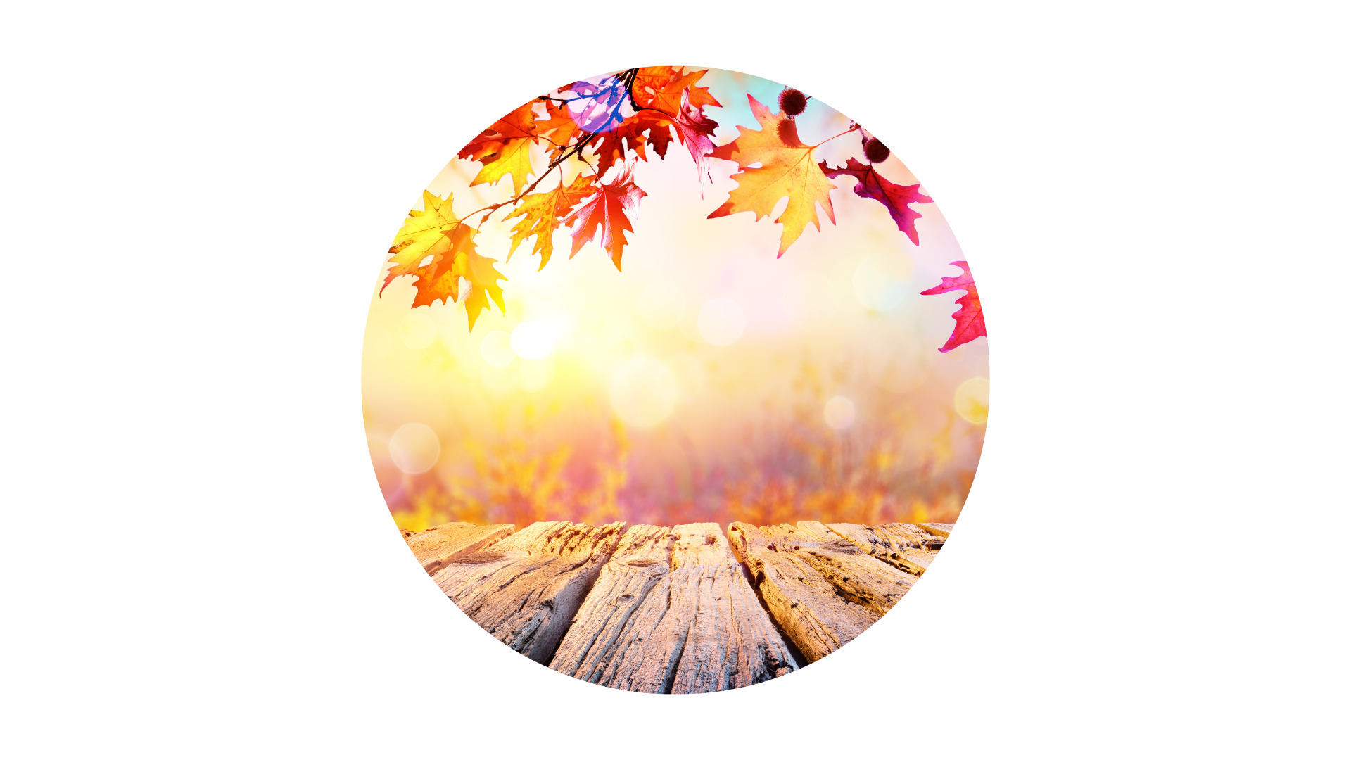 39. Leer el otoño