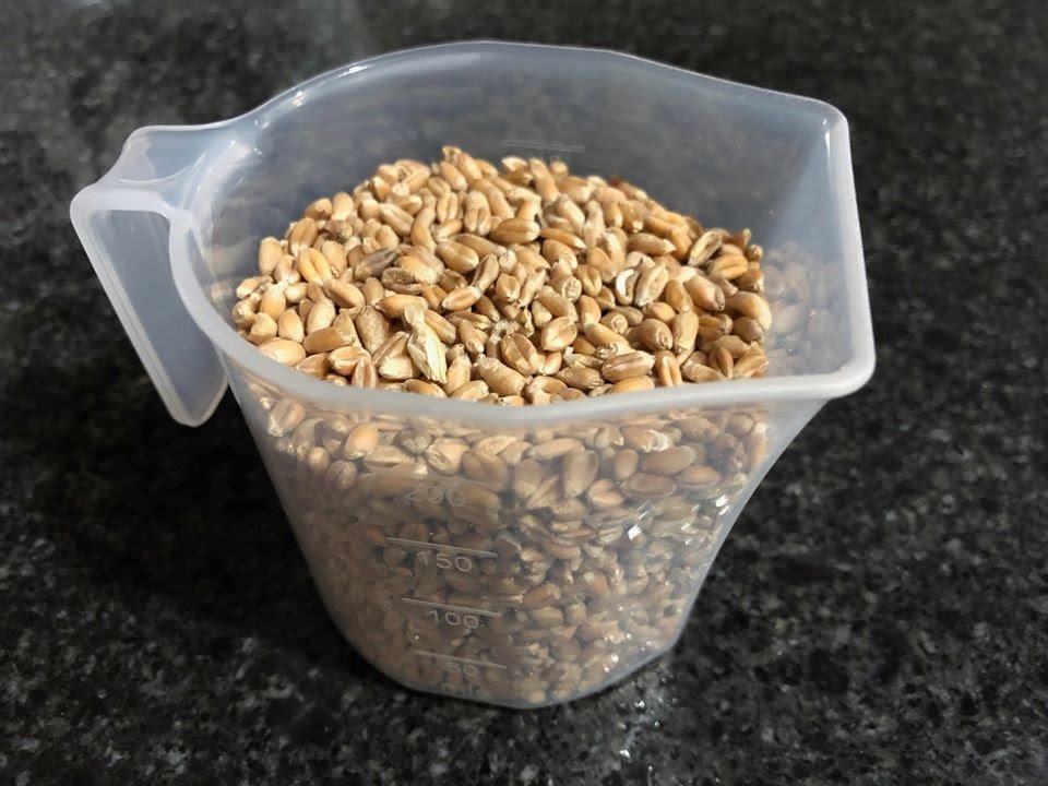  Rinse the seeds then put in a sprouting container and cover with a mesh or use a bowl and a sieve. 