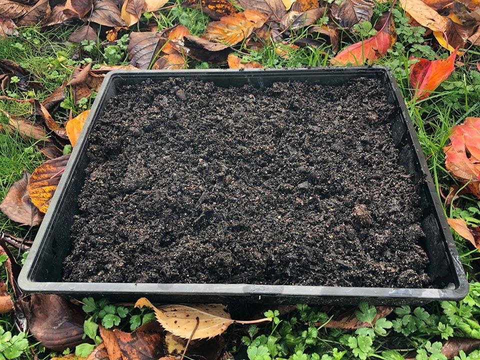  Prepare your seed tray ... 
