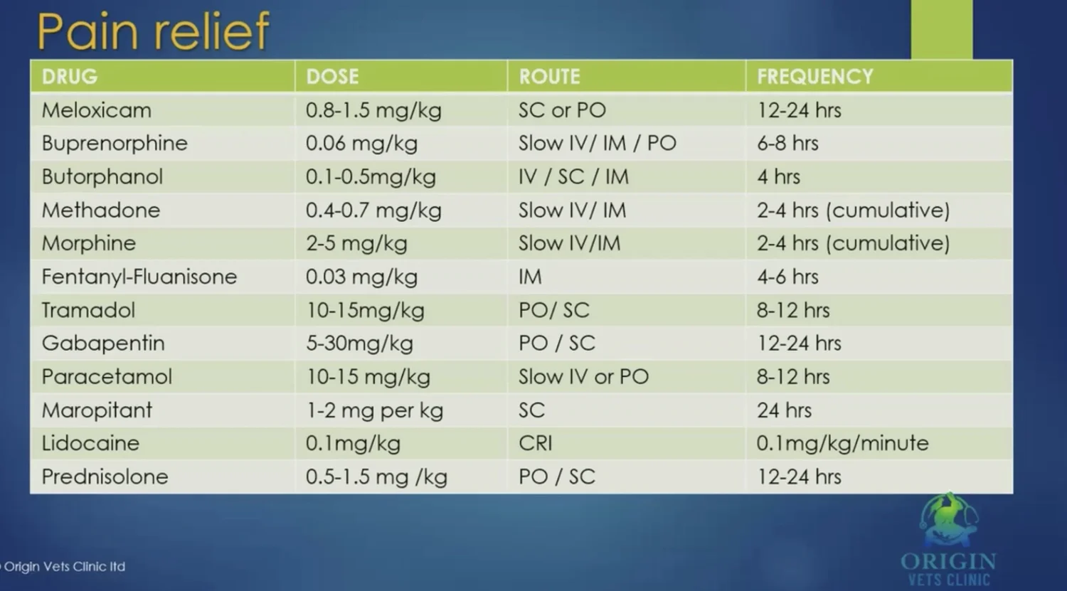 Pain in Rabbits — Westley’s World