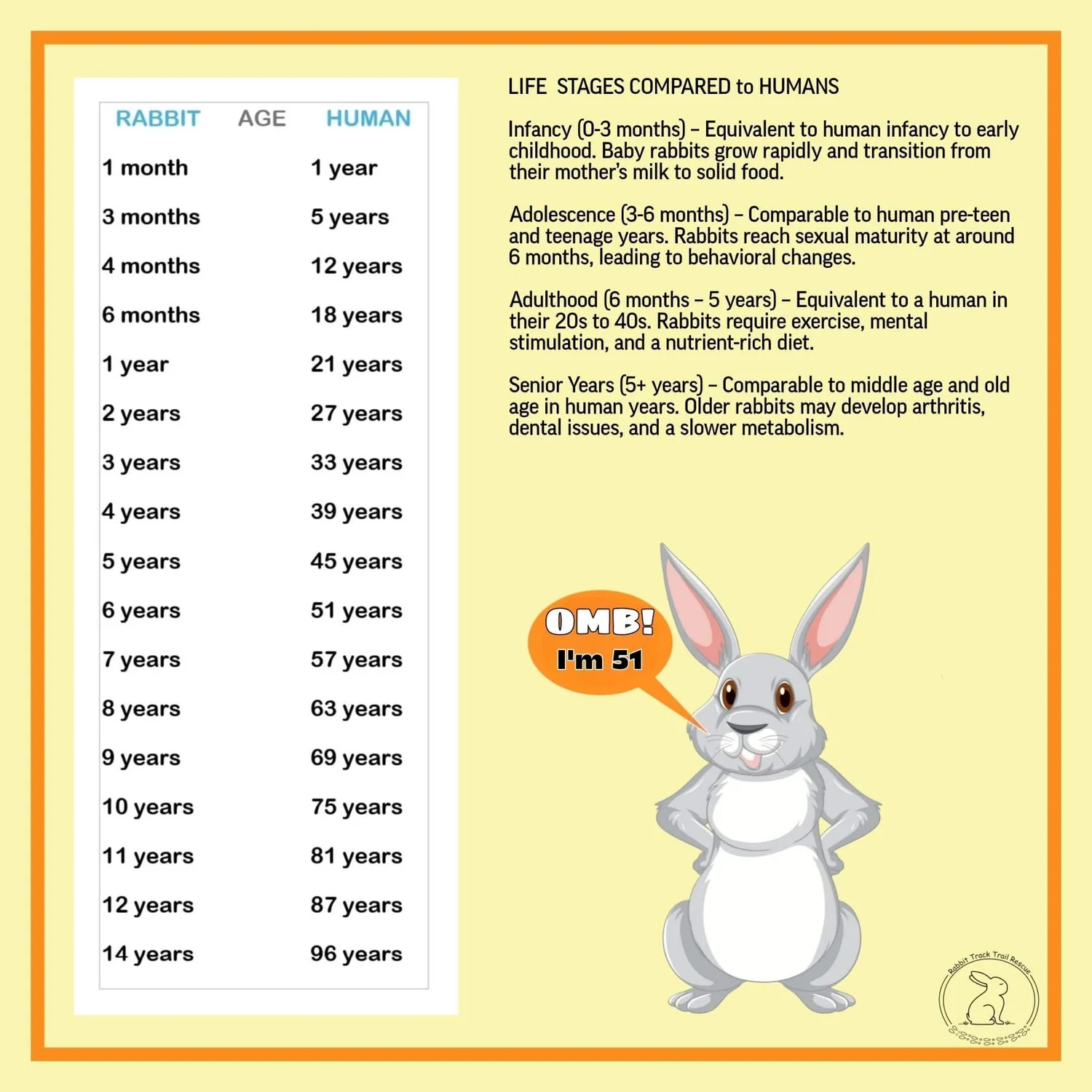 The Life Stages of a Rabbit — Westley’s World