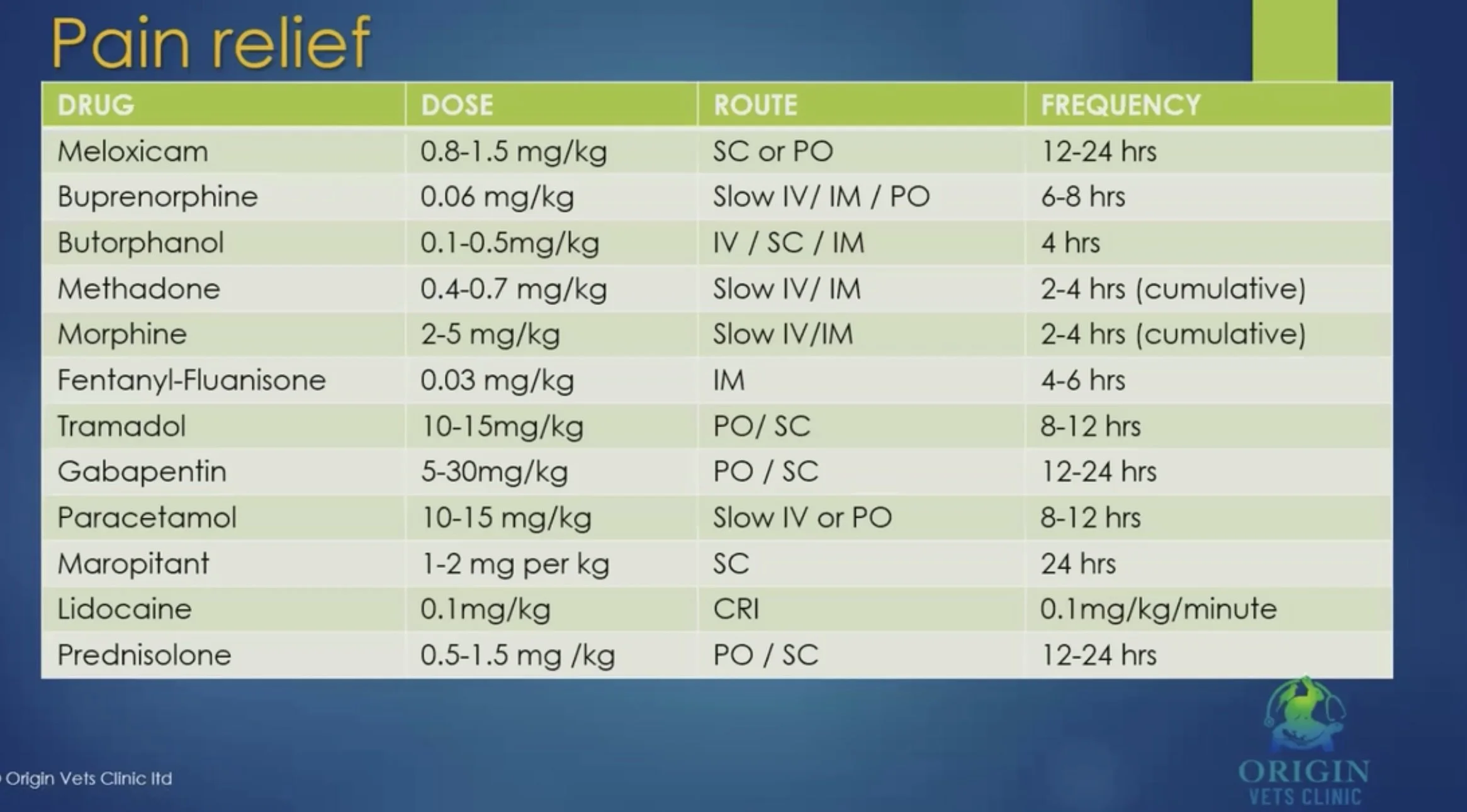 Pain management in Rabbits more than just — Westley’s World